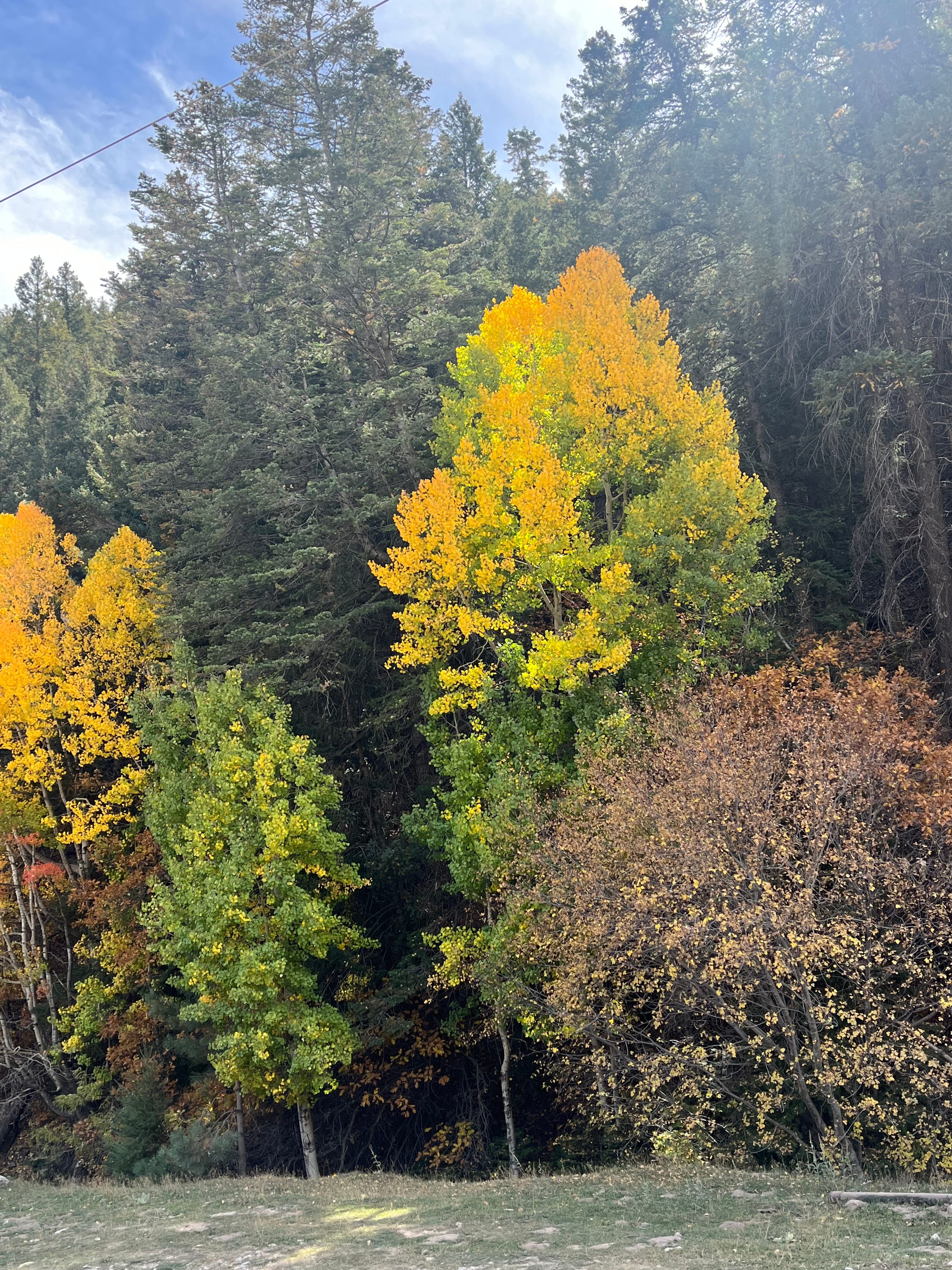 Southern Rockies Camp & Cabins