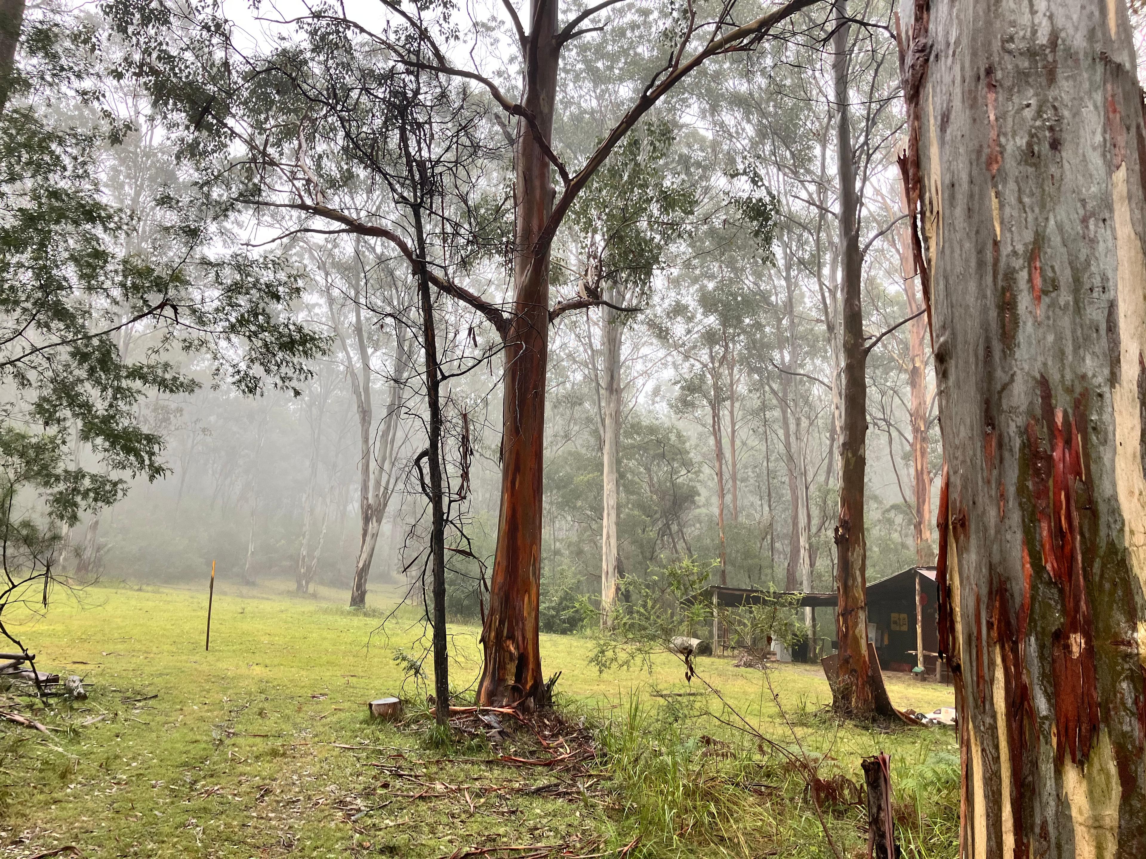 Stickybush Arm Wildlife Sanctuary