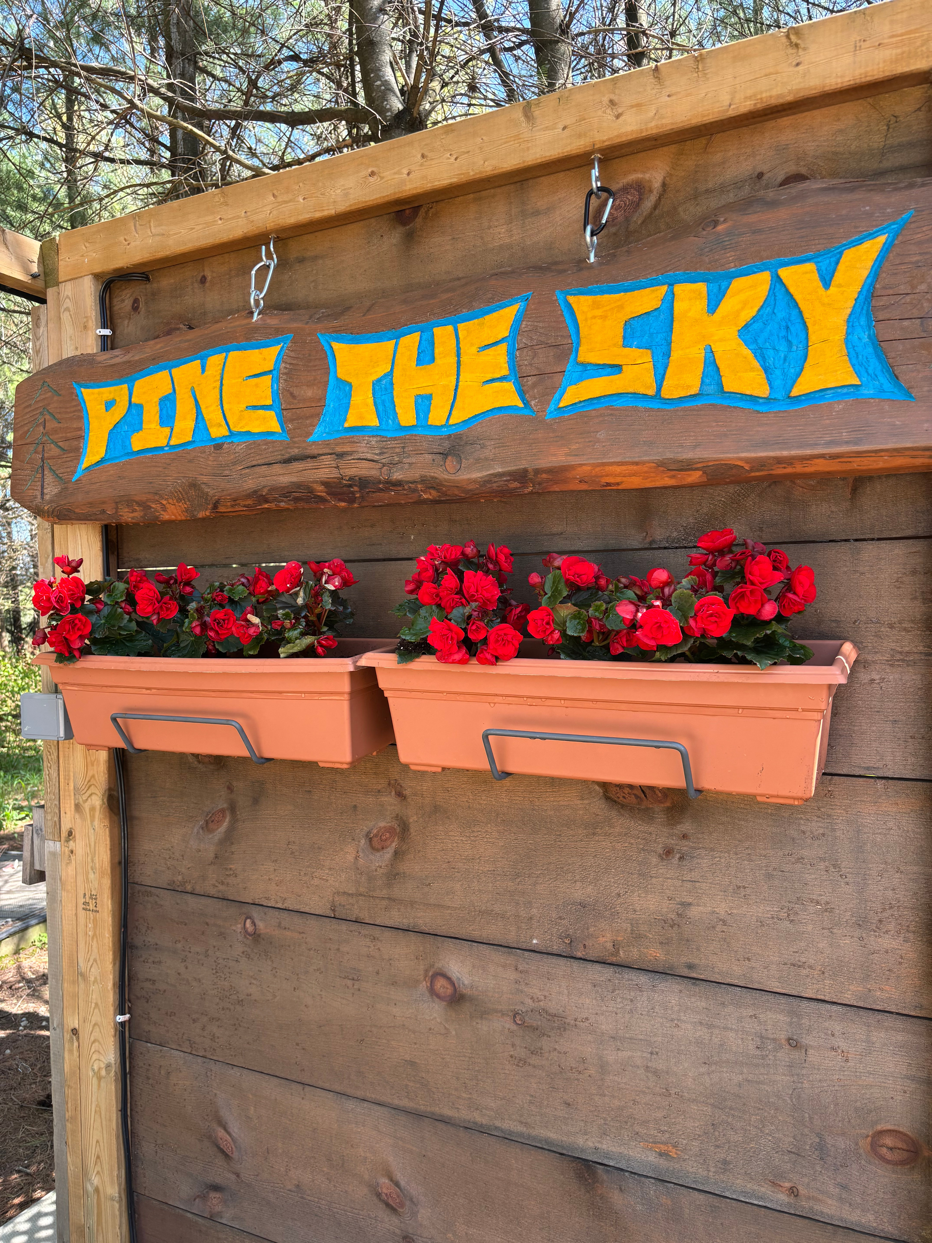 Pine the Sky