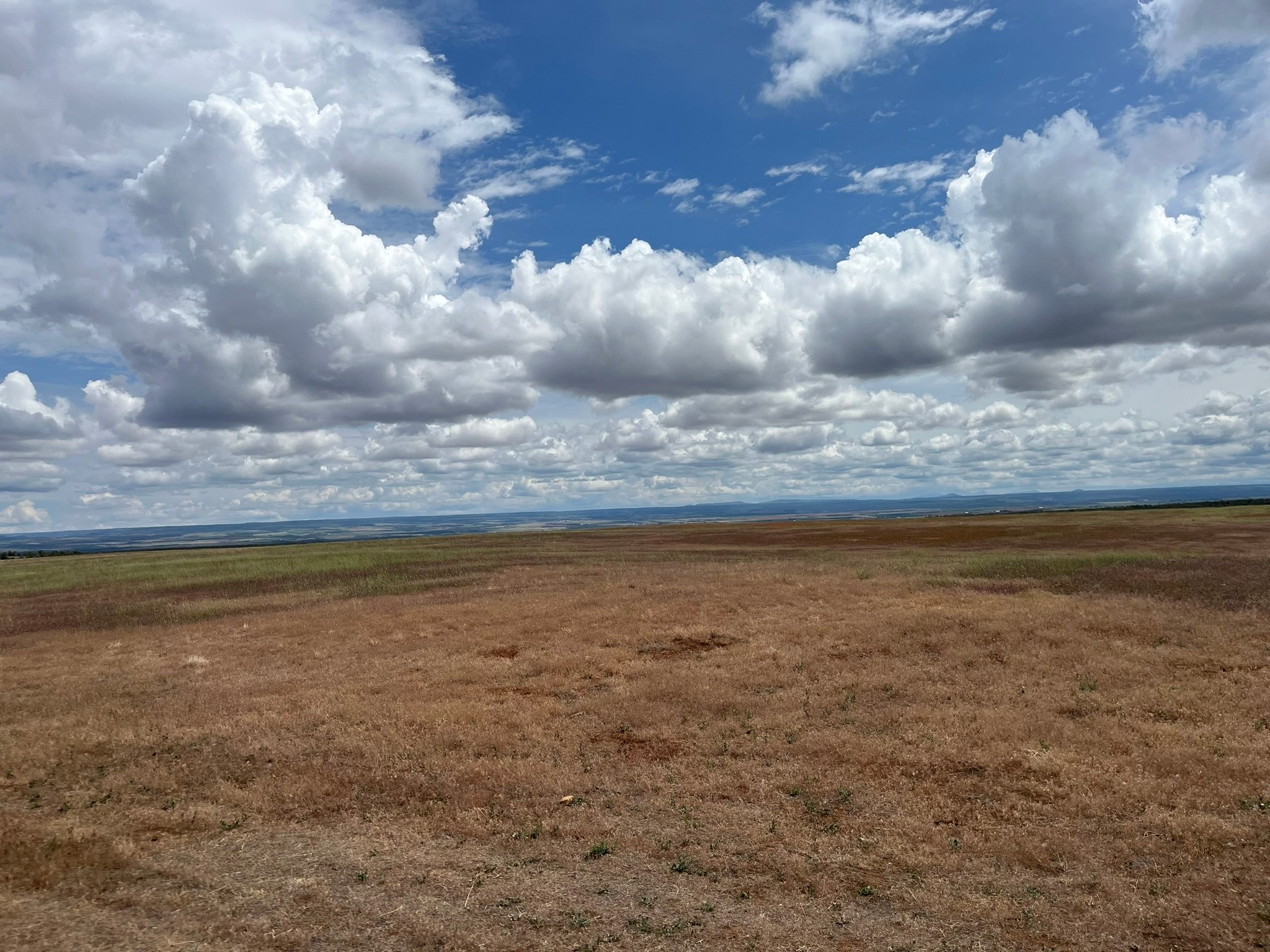 A Pleasant View