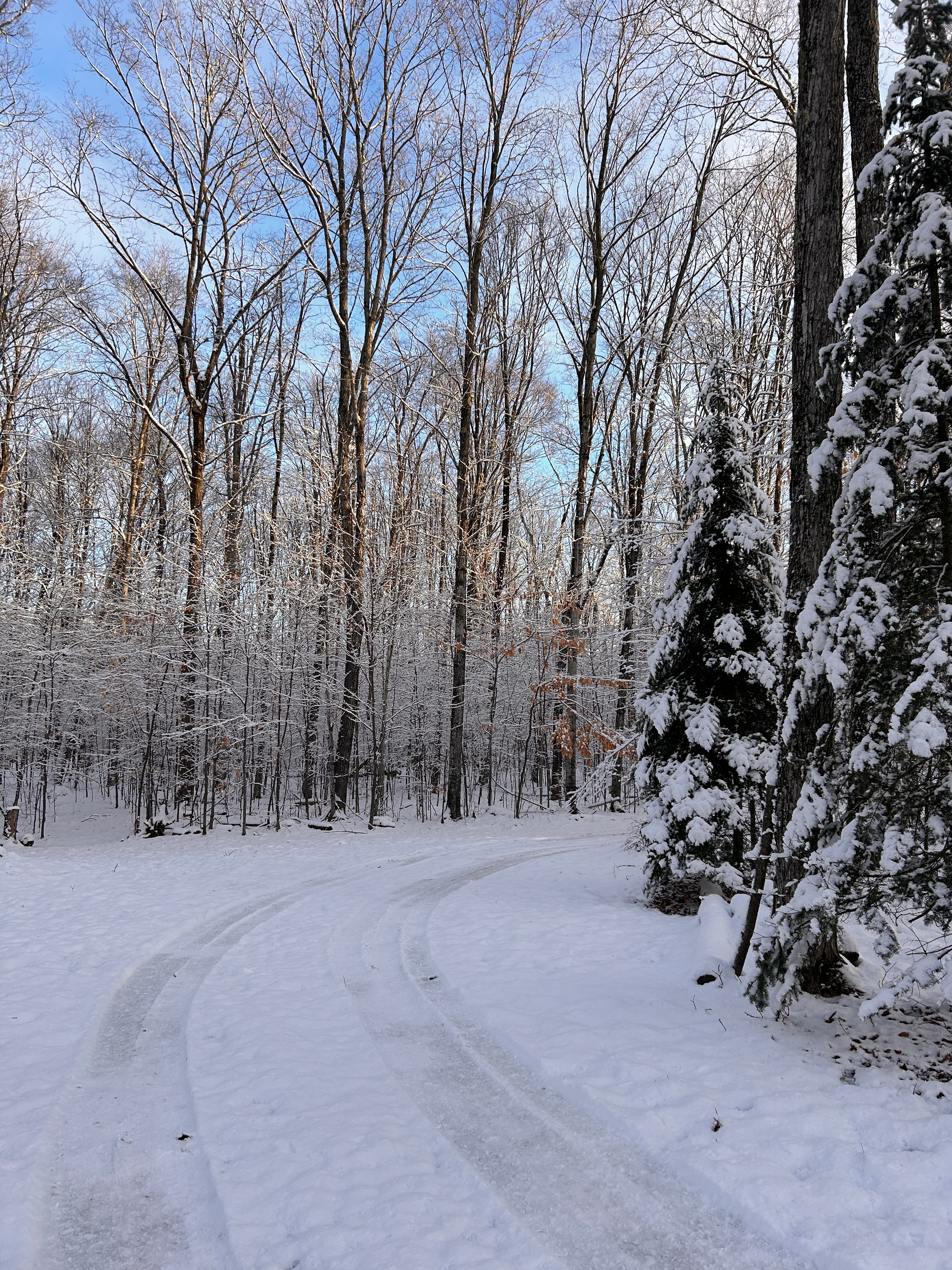 Stutts Creek 40 Acre Camp Site