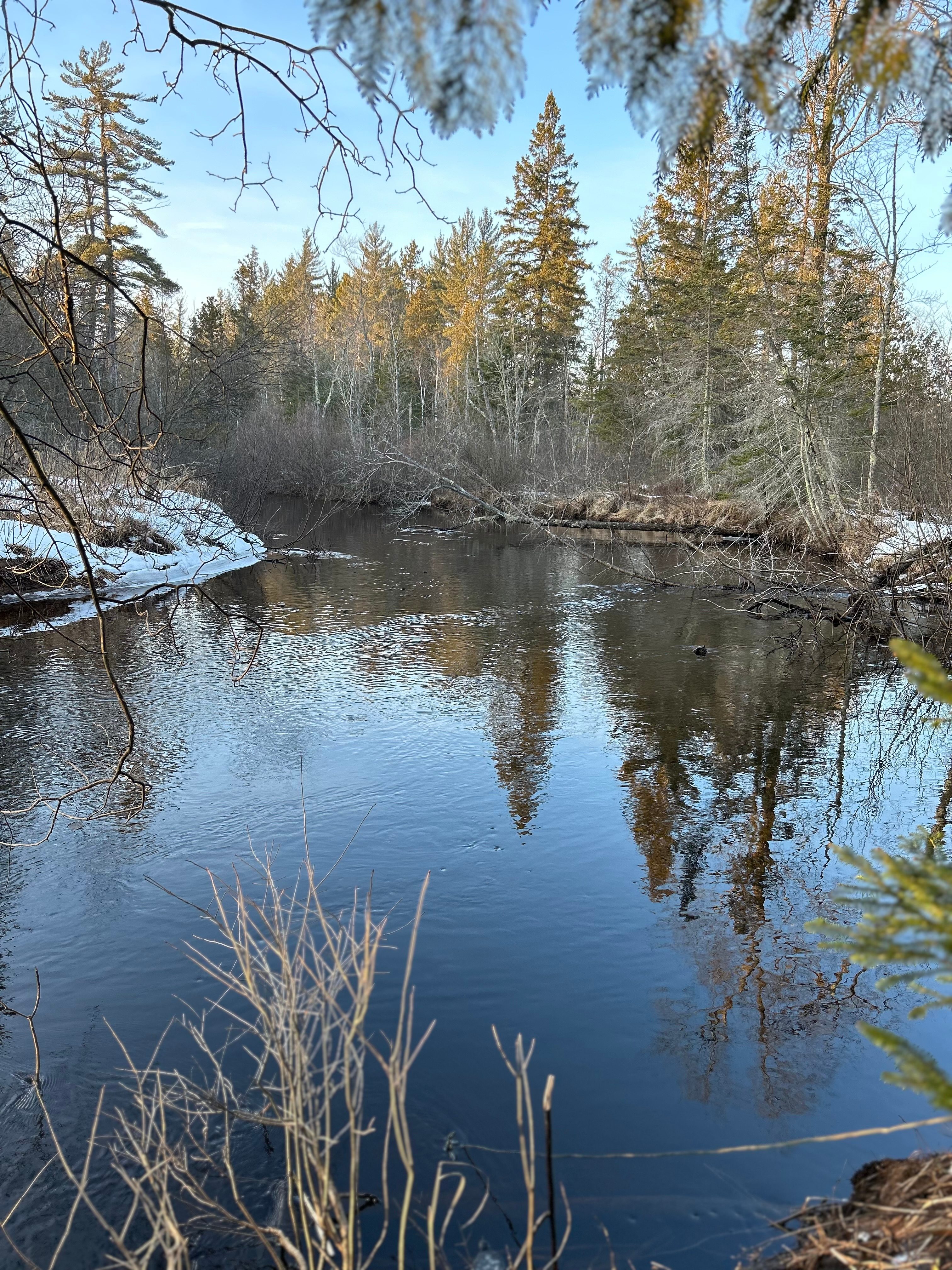 Stutts Creek 40 Acre Camp Site