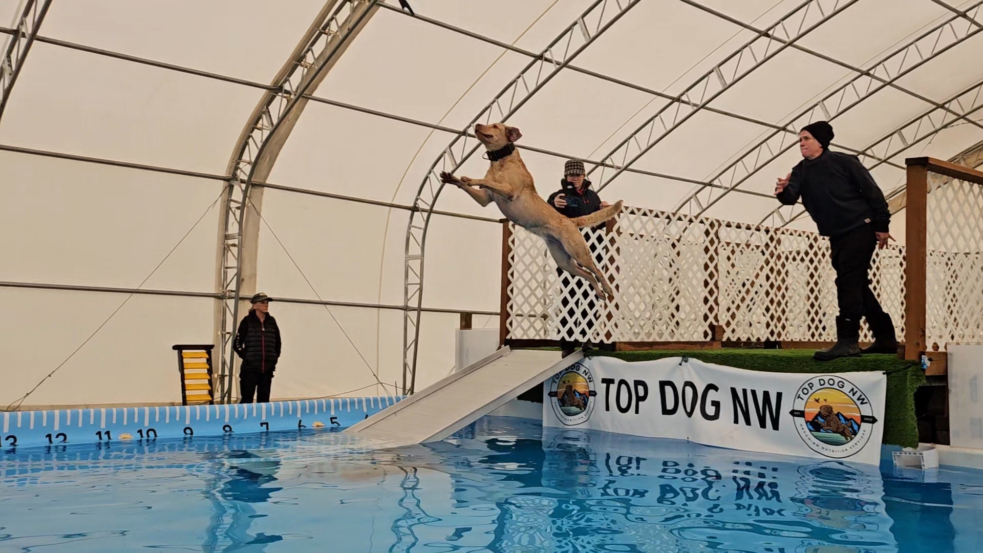 Top Dog NW K9 Sports Complex