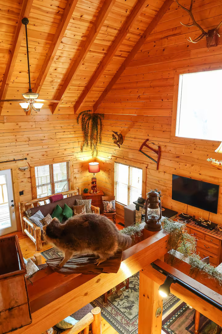 Deer Stand - Pine Ridge Log Cabins