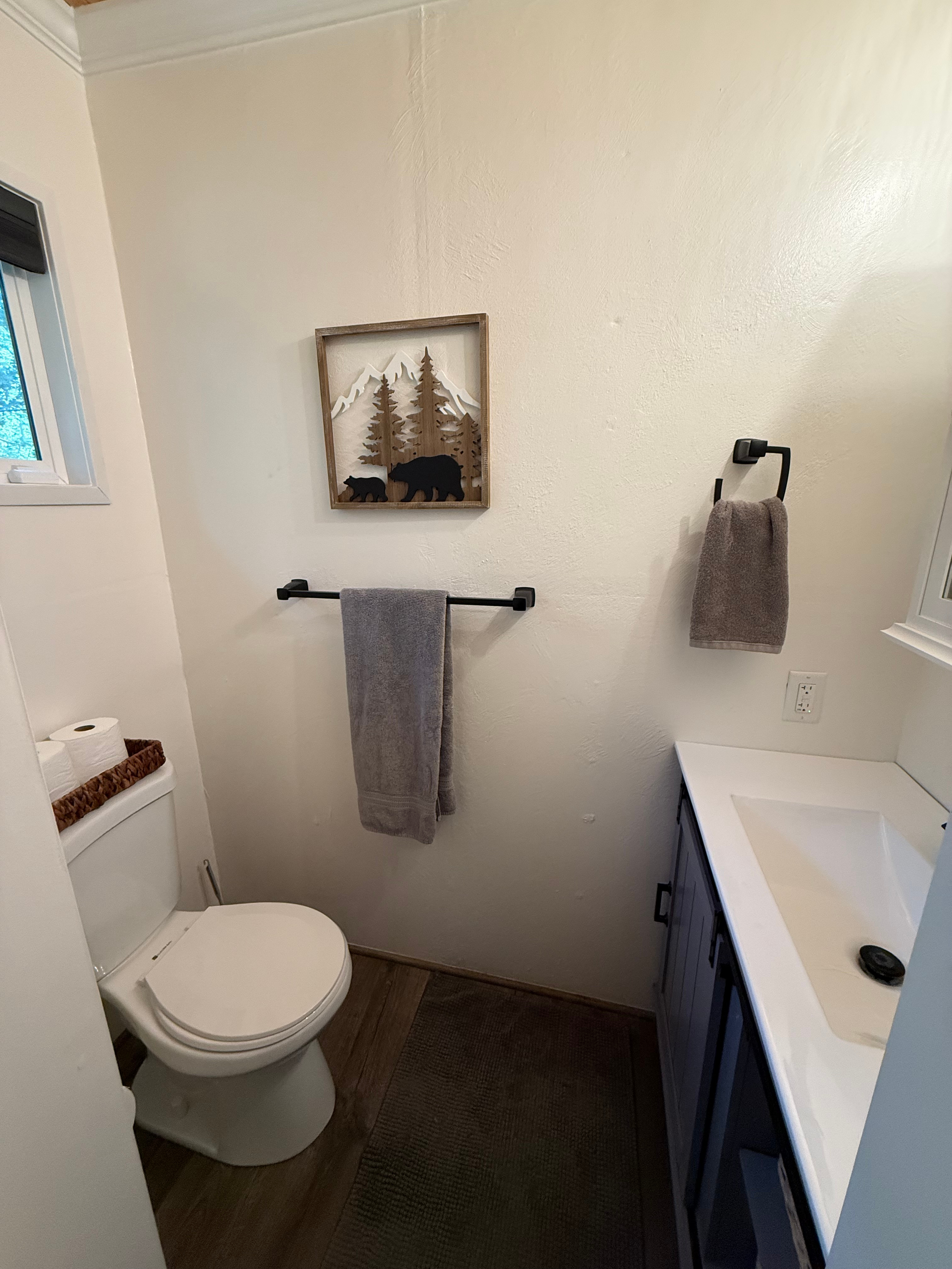 Master 1/2 Bath downstairs 