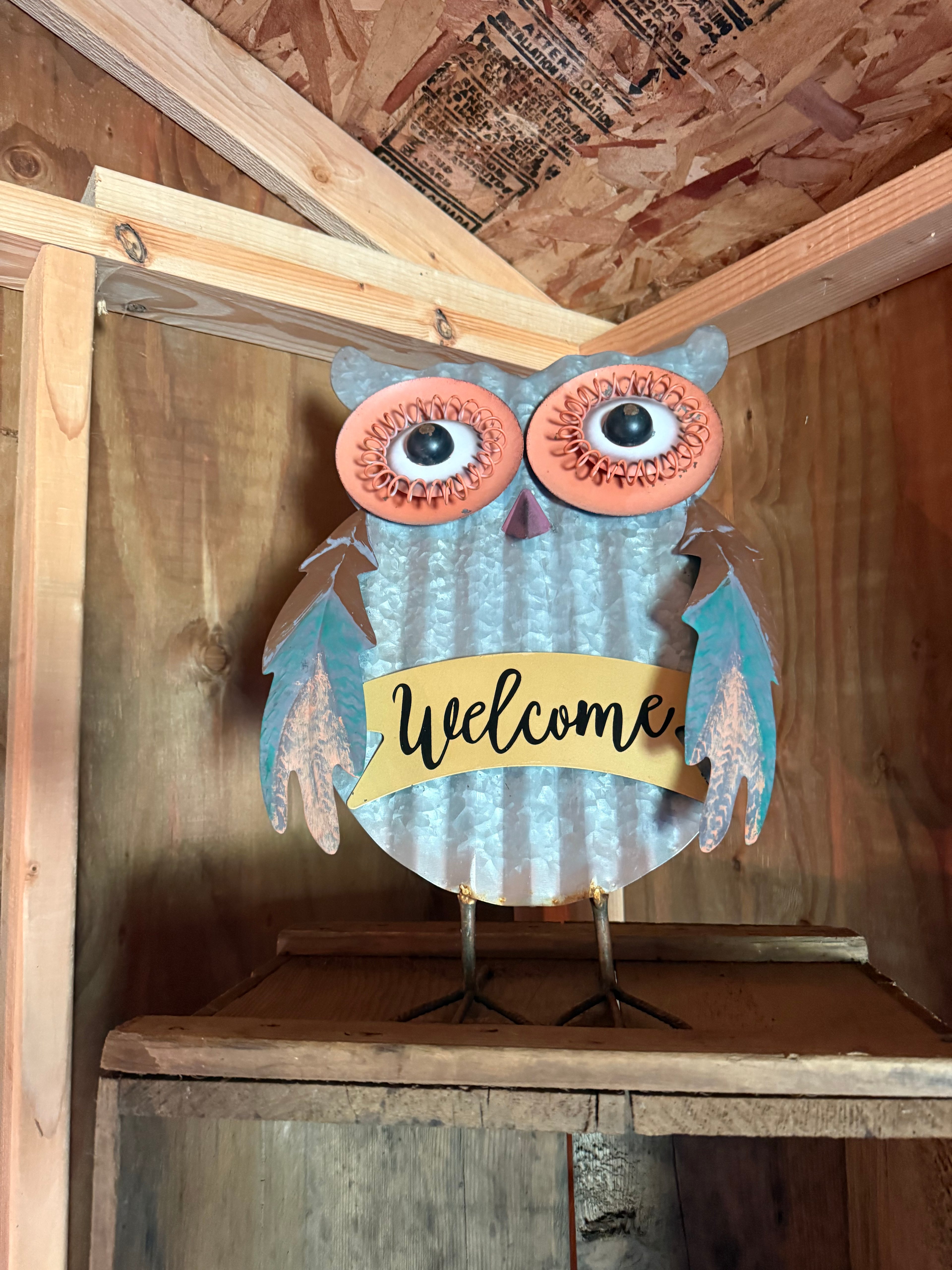 Coyote Meadow Basecamp