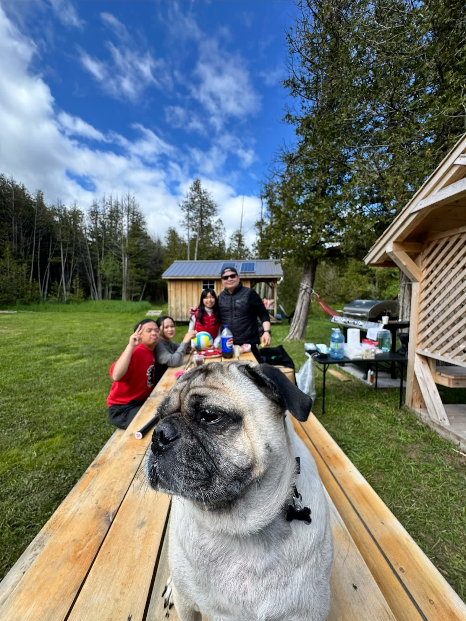 White Pines Cabin Retreat
