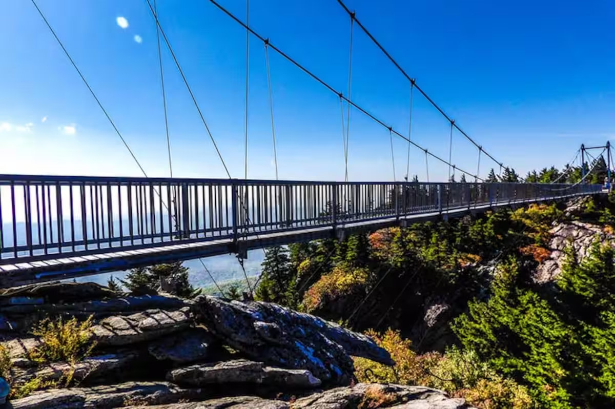 1848 Log Cabin in the Trees