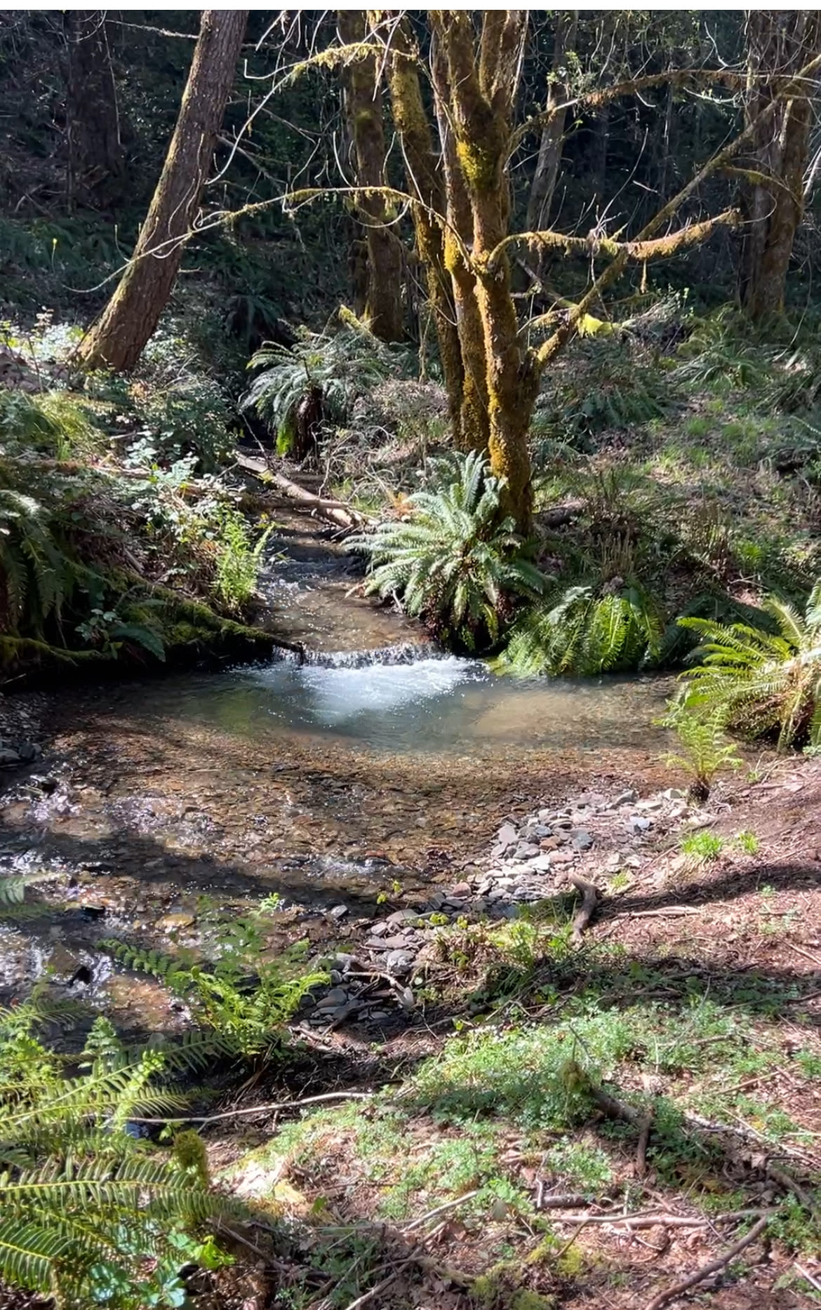 Mountains of the Moon