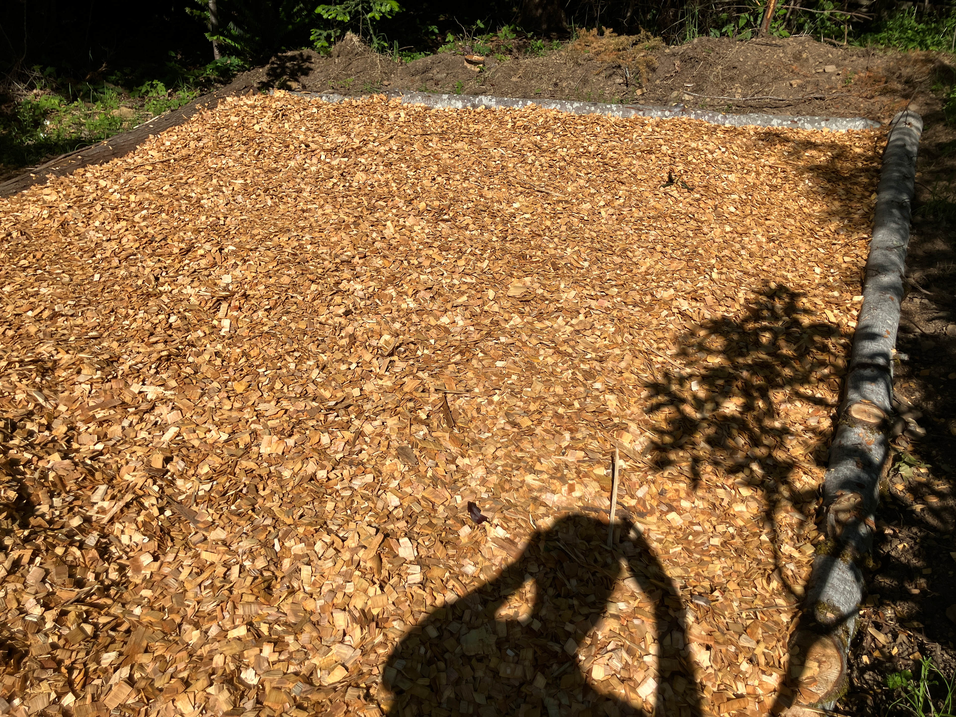 Campsite 1 has lots of sun.