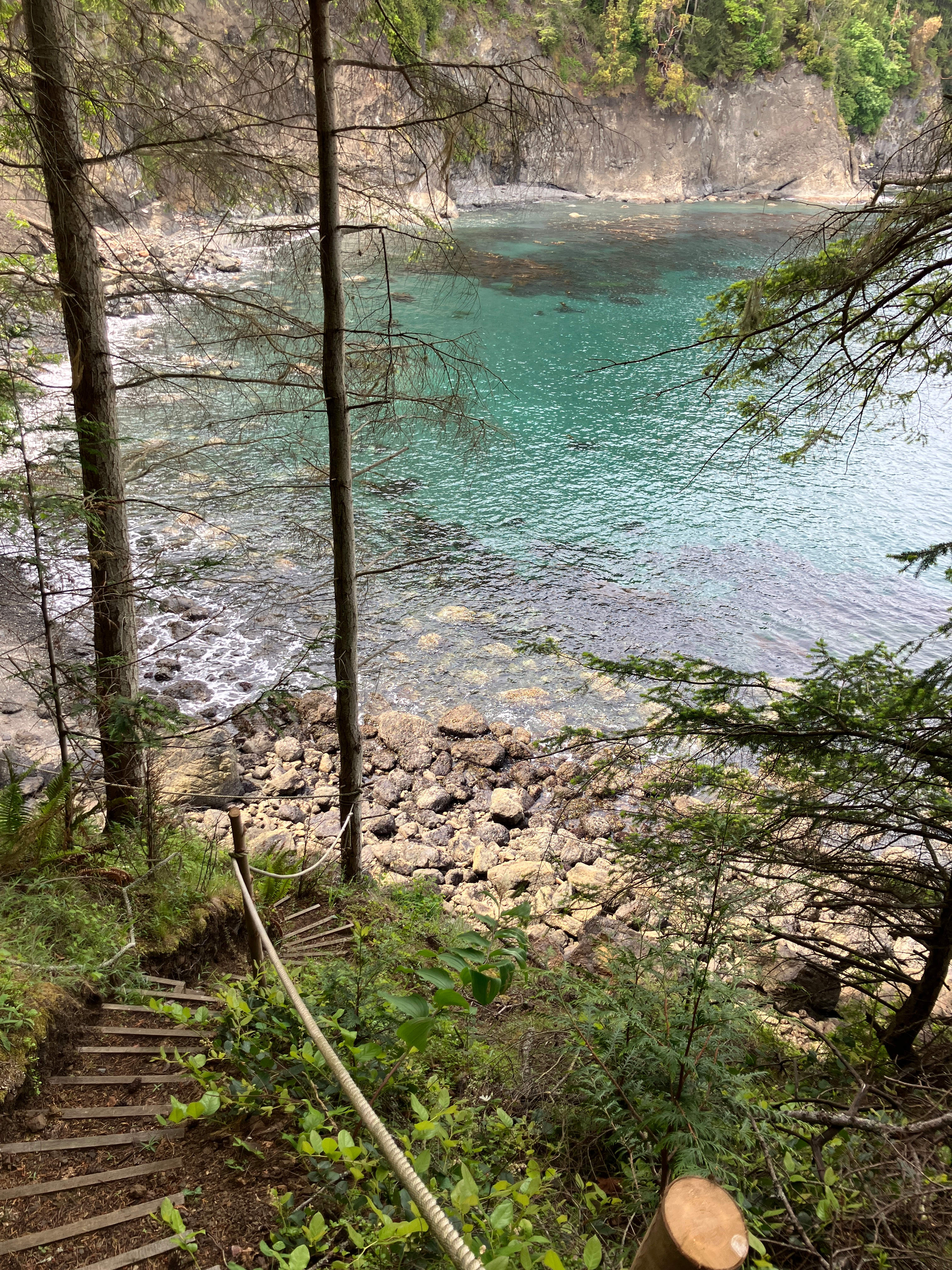 View of the cove from the trail.