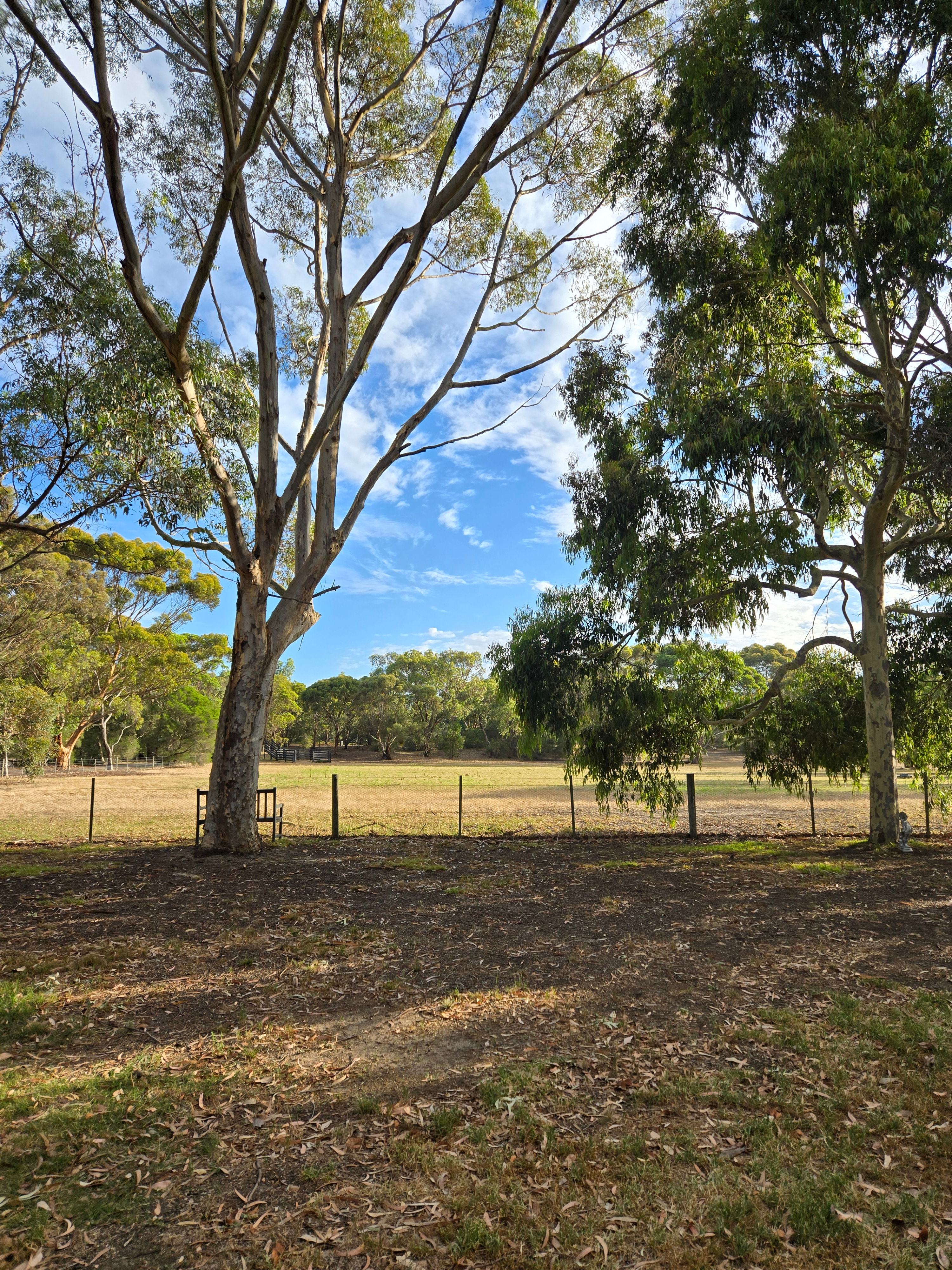 Afton Park - Heart of the Bellarine