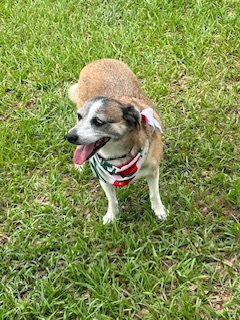 Touch of Heaven Camper