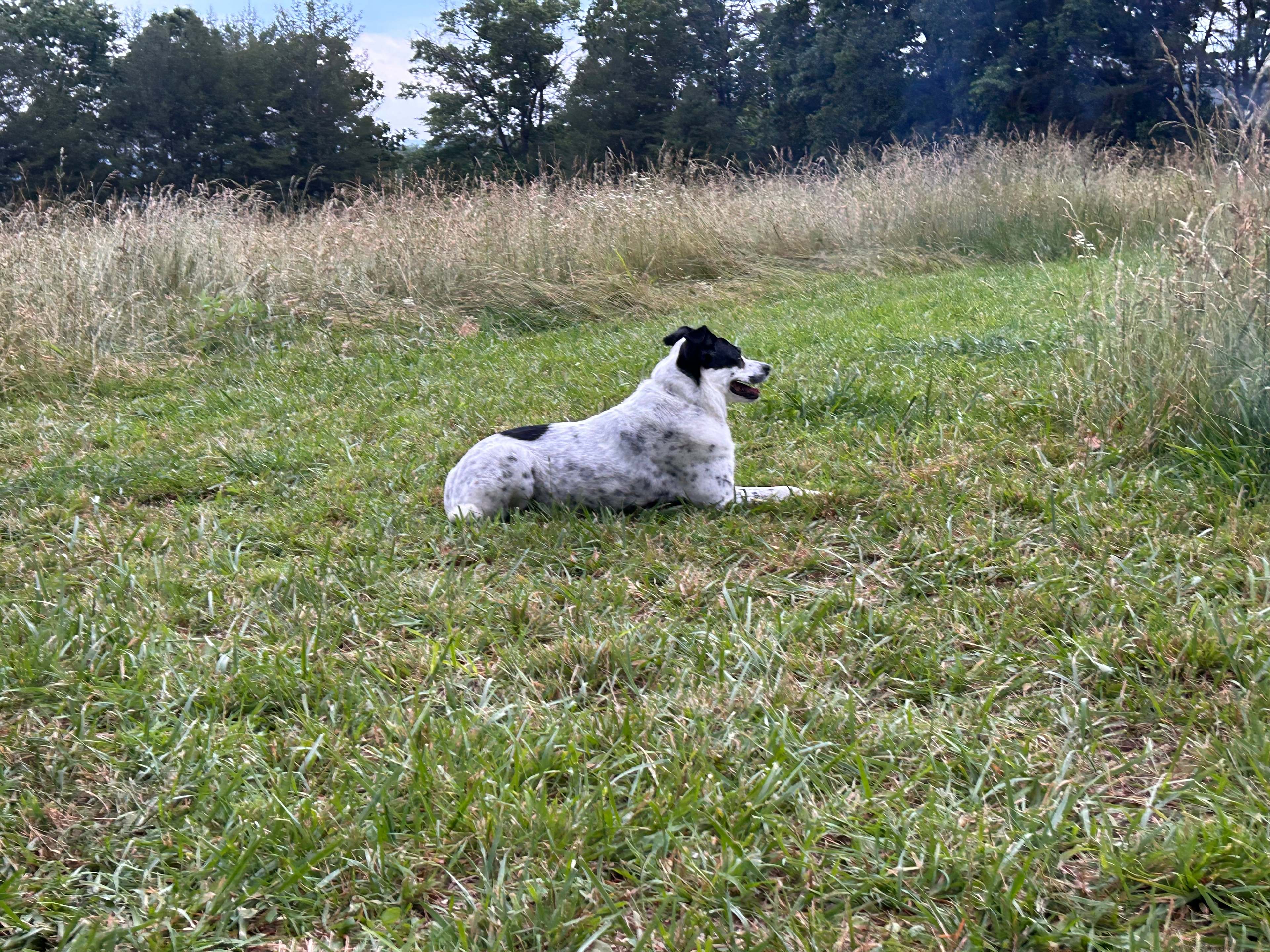 Camping at Oak Grove