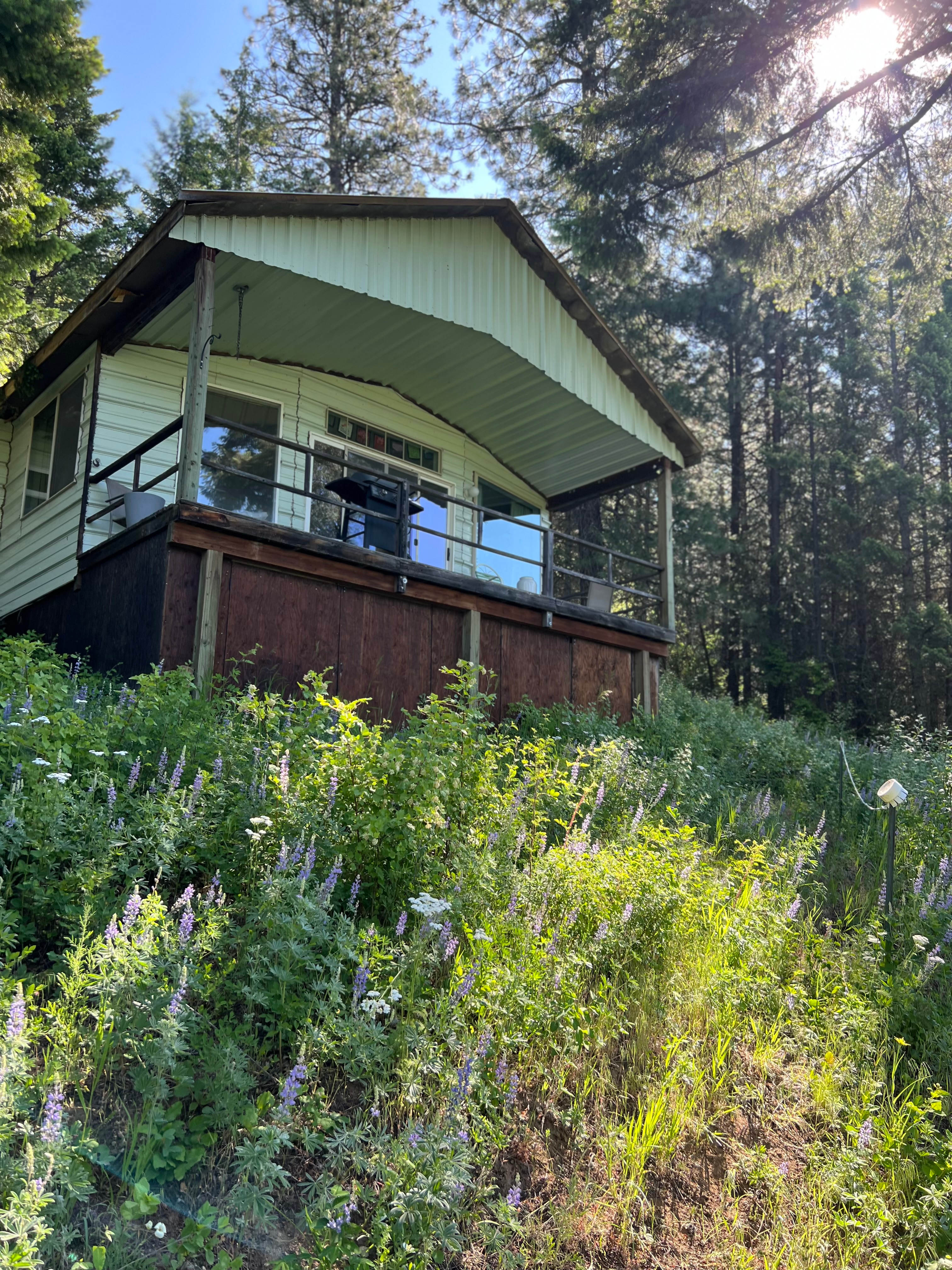 Tree Top Cabin