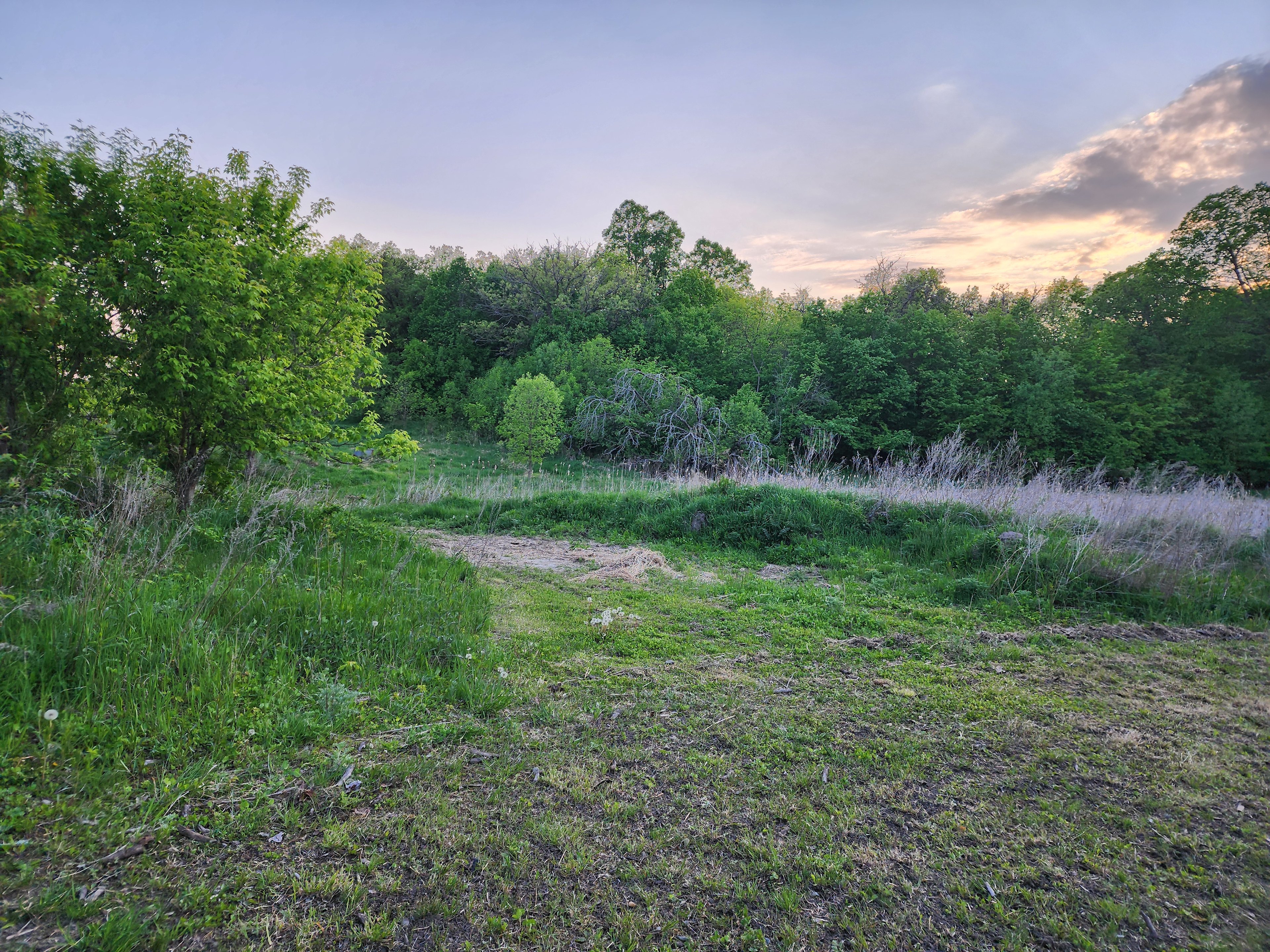 The Hippie Hideaway Camp & Trails