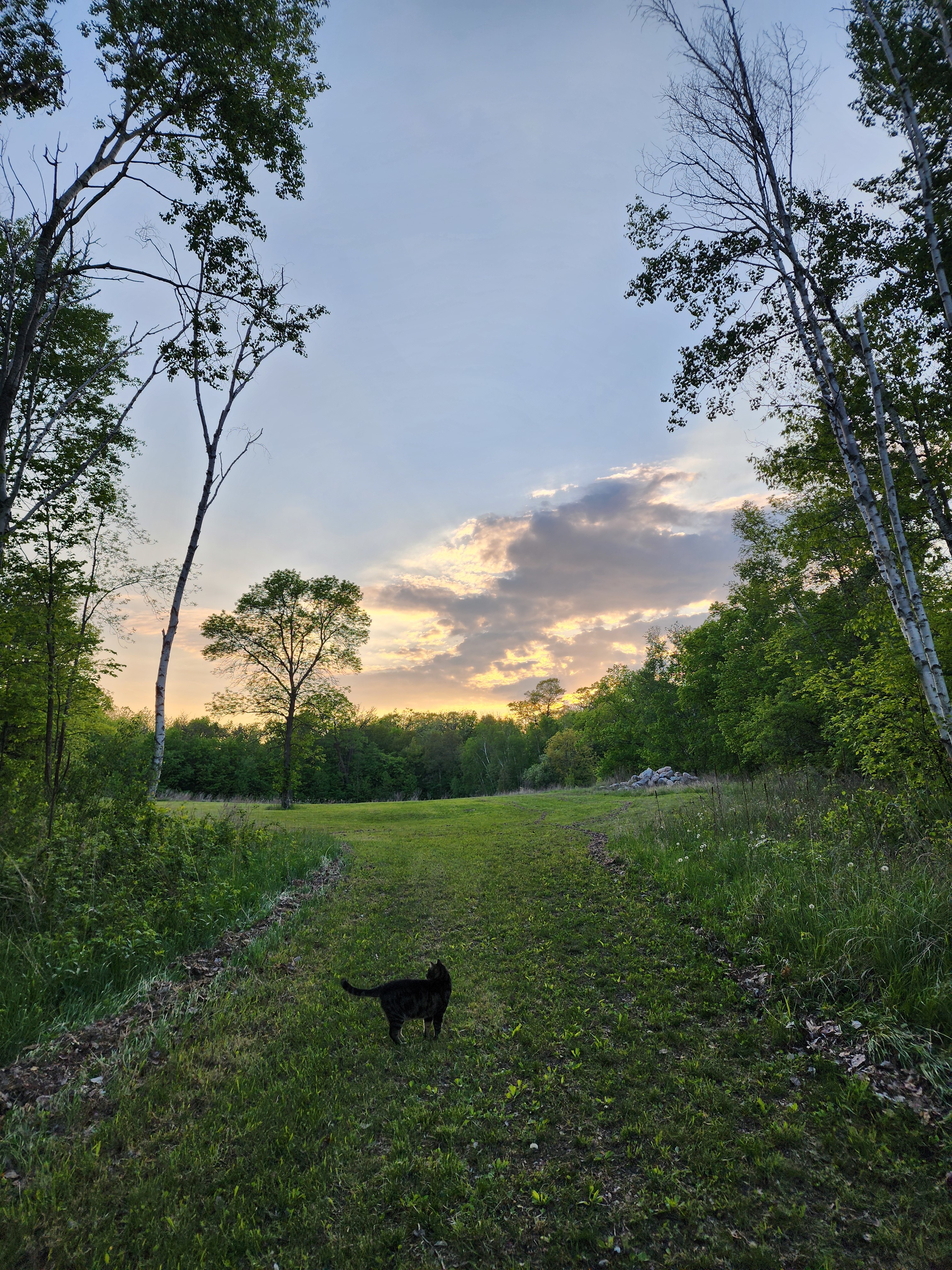 The Hippie Hideaway Camp & Trails