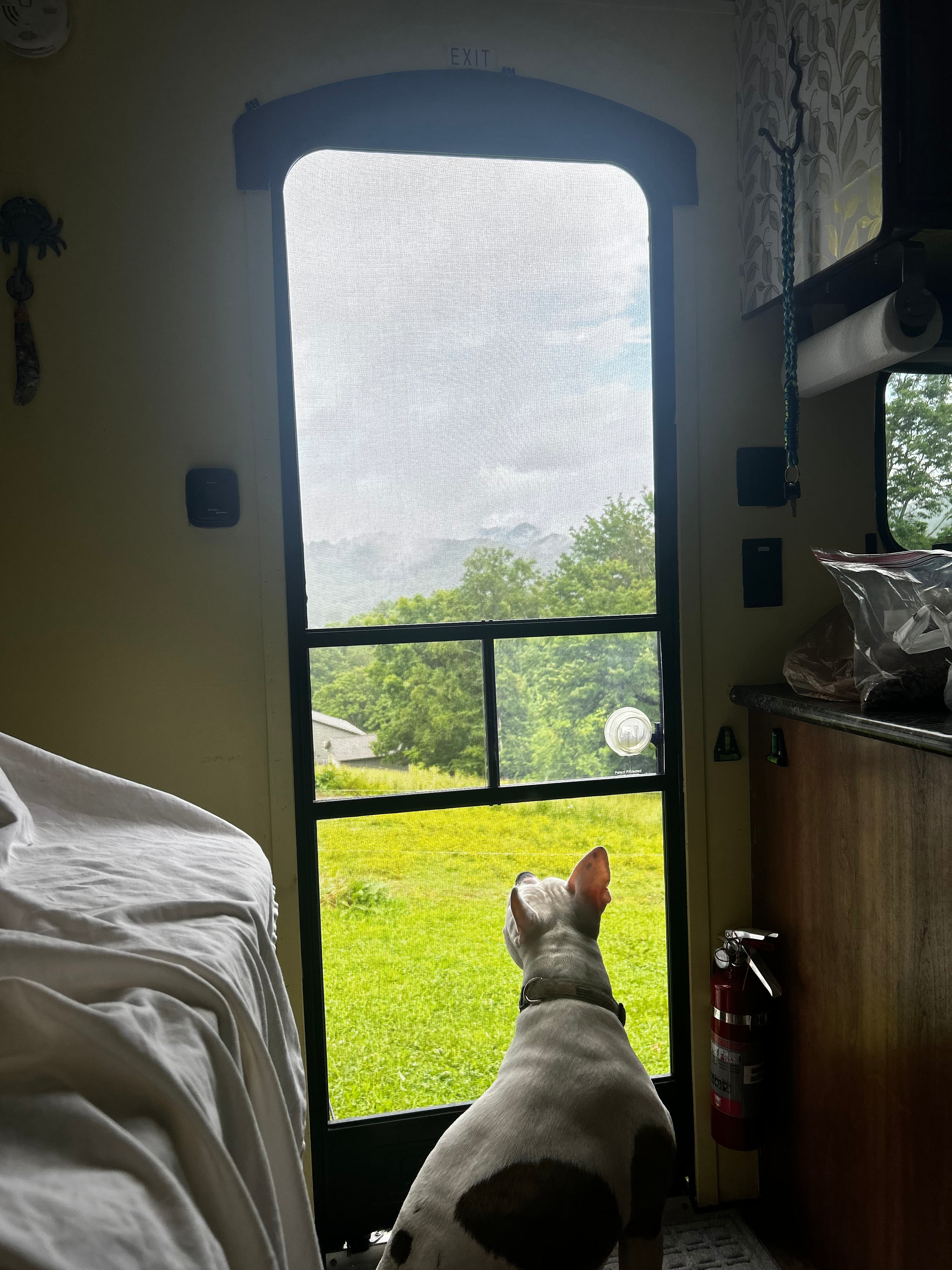 Lizzie enjoying the views! 