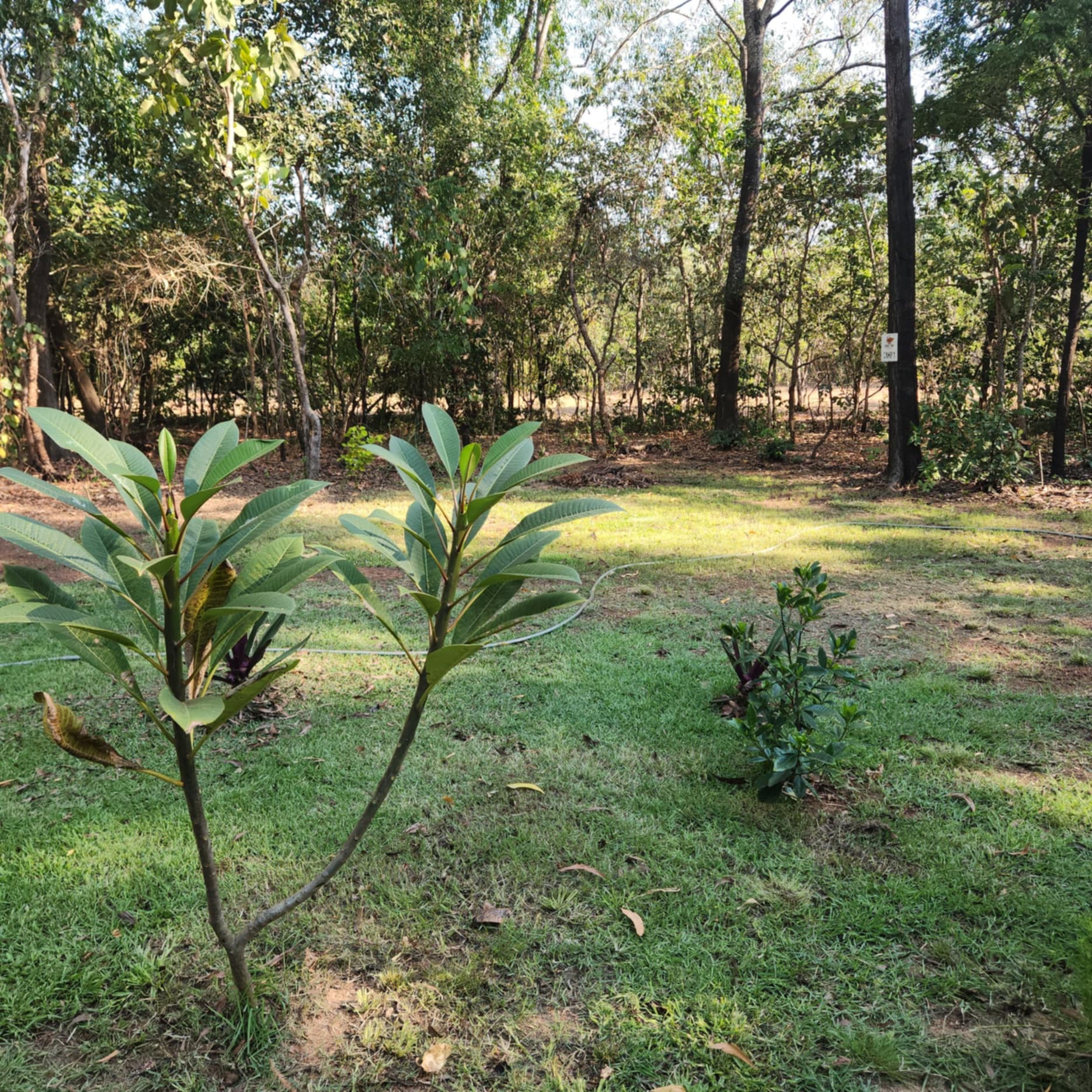 Middle Camp & Stay - Dundee