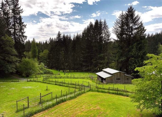 The Hollow - Private Yurt Cabin