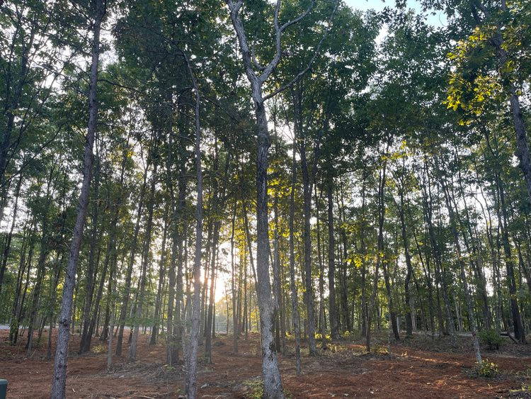 Cloud Camp Cloud Camp GA RV Park