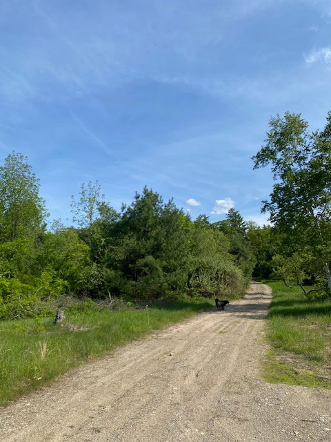 The Milkweed Sanctuary - Private RV and Campervan Site