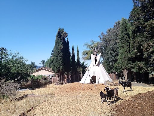 Managed Mischief Micro Farm