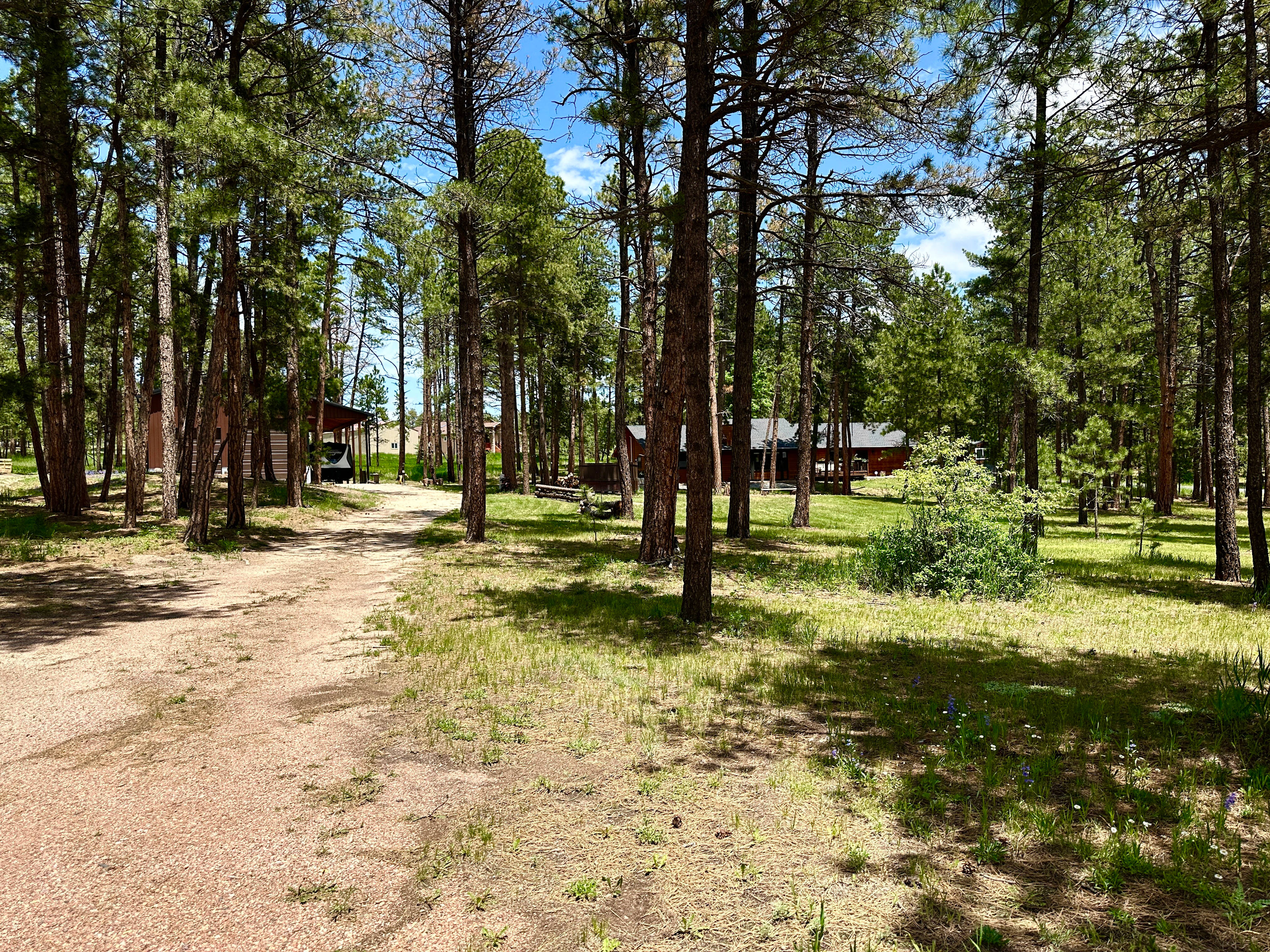 Camper/RV/Tent in the Trees