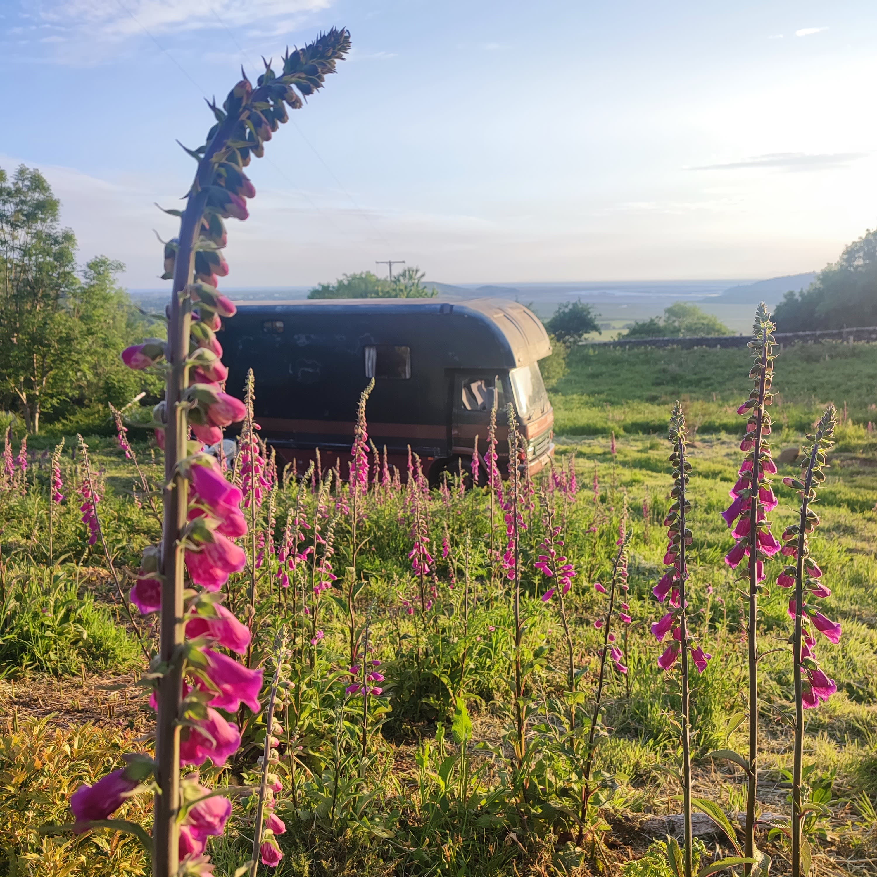 Horse box and the view. No drones needed here to see it!
