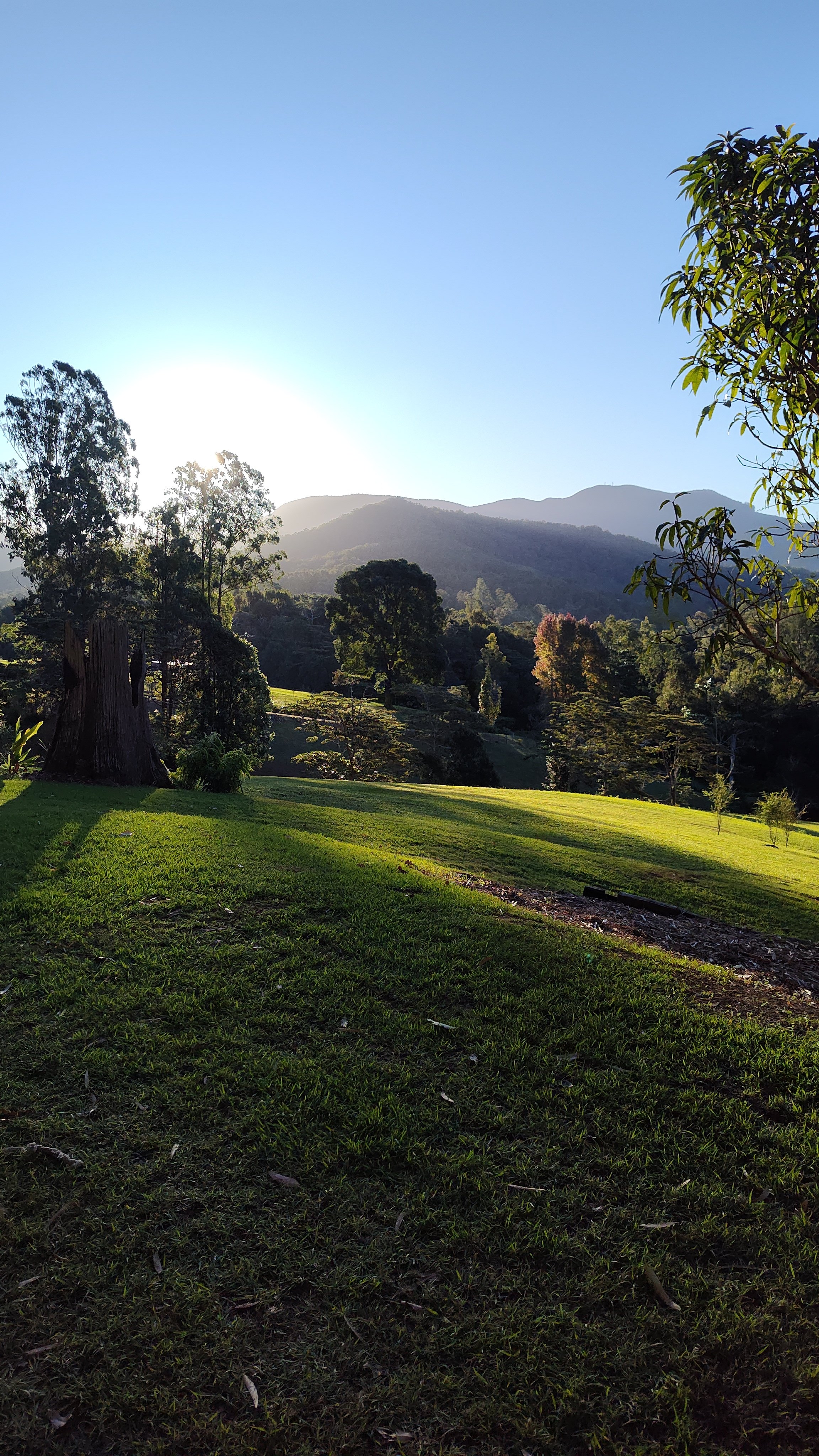 View from Mango site