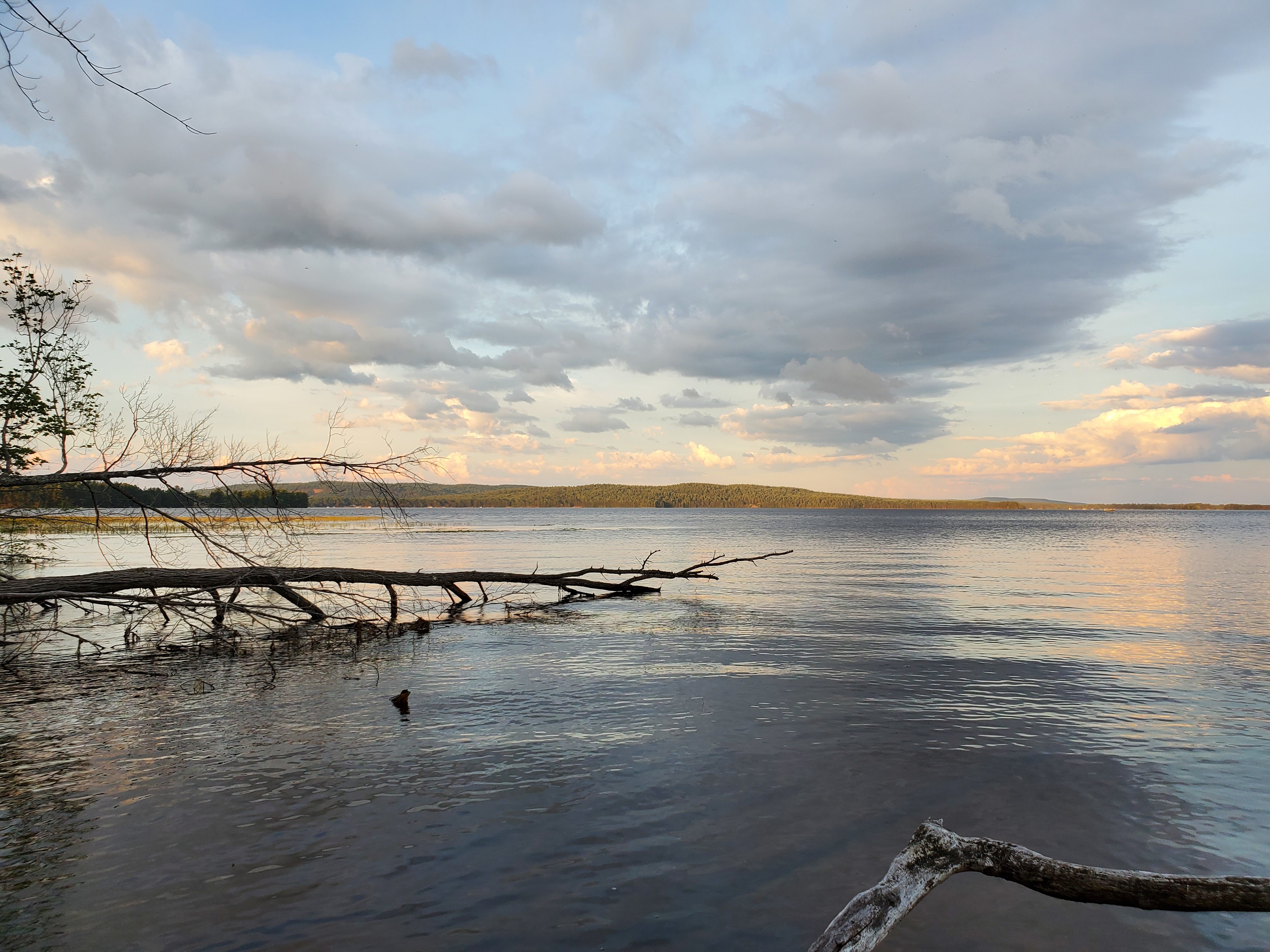 Erskine Park Campsite