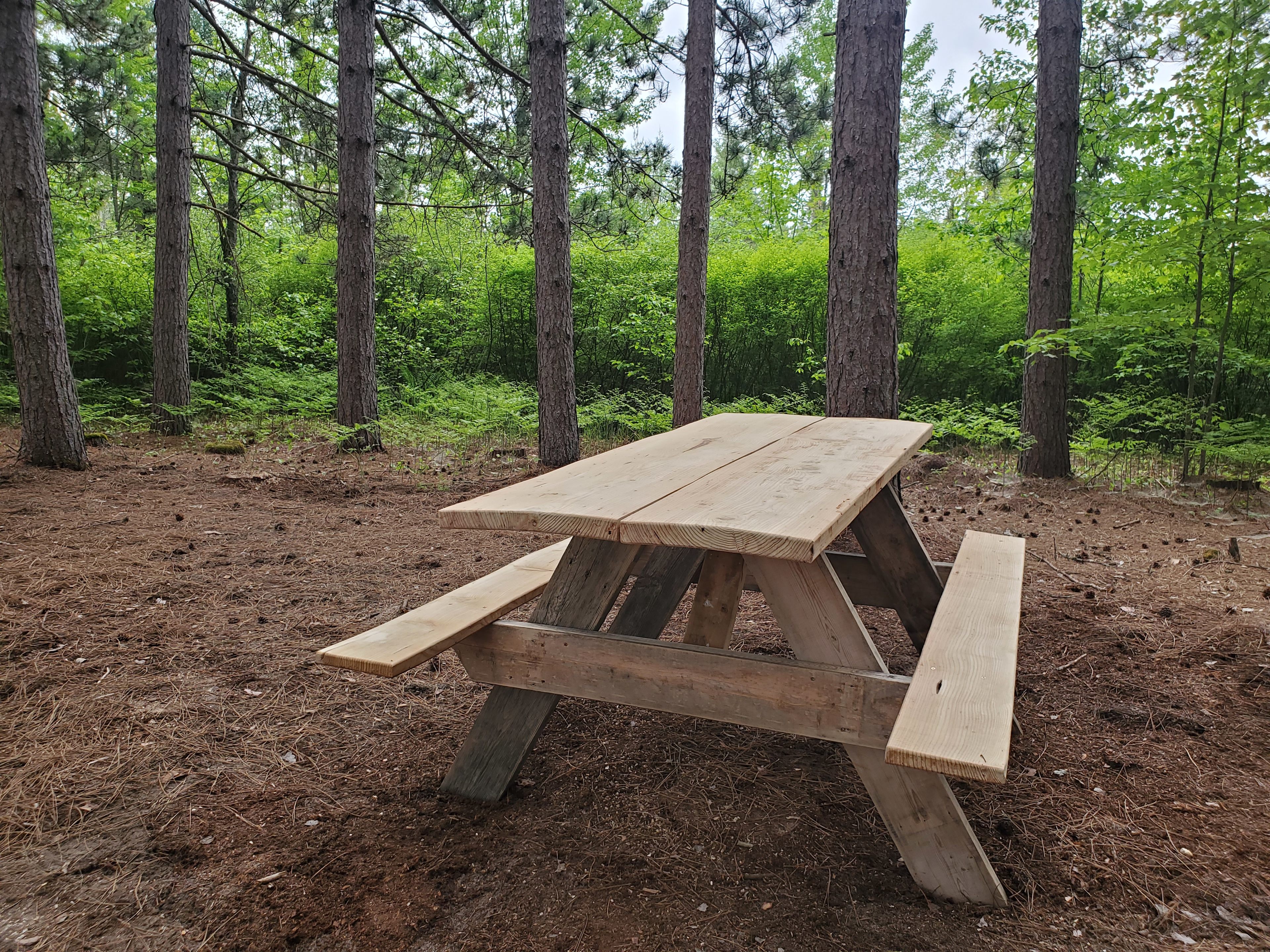 Erskine Park Campsite