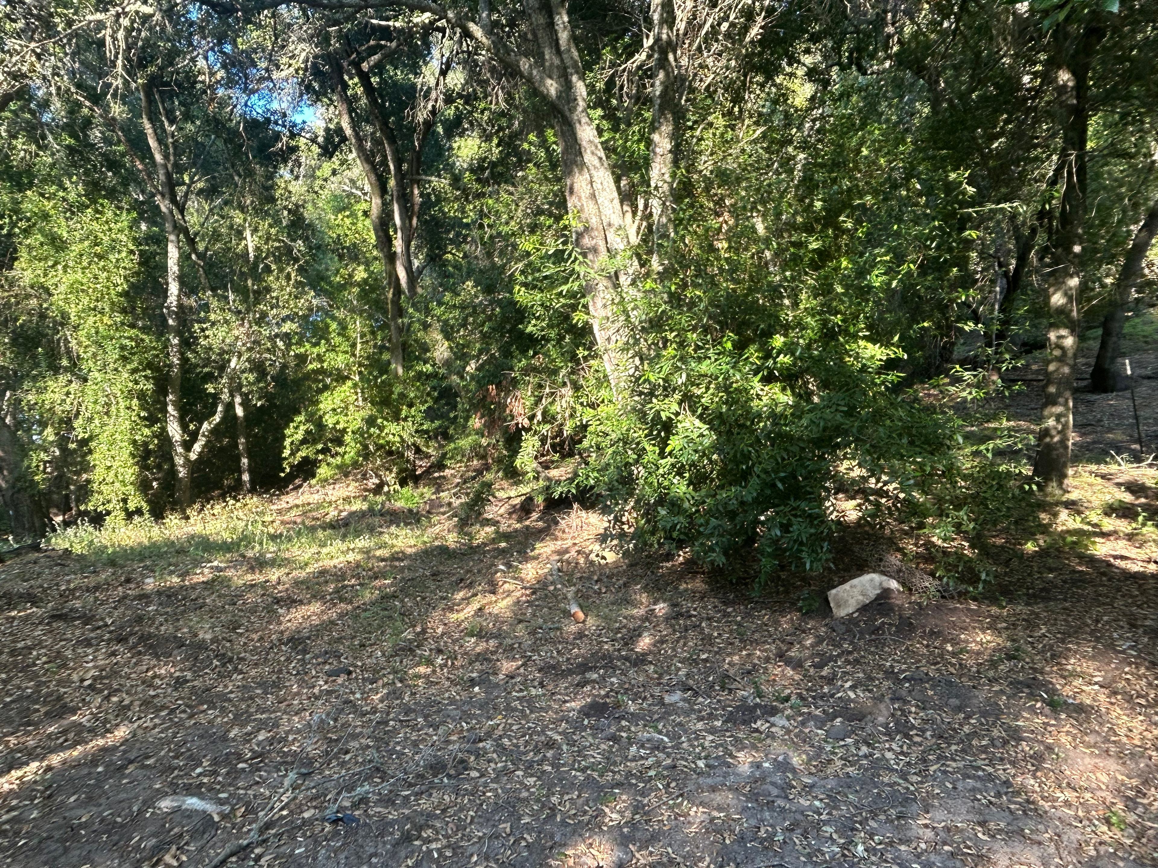 Oak Serenity RV Spot