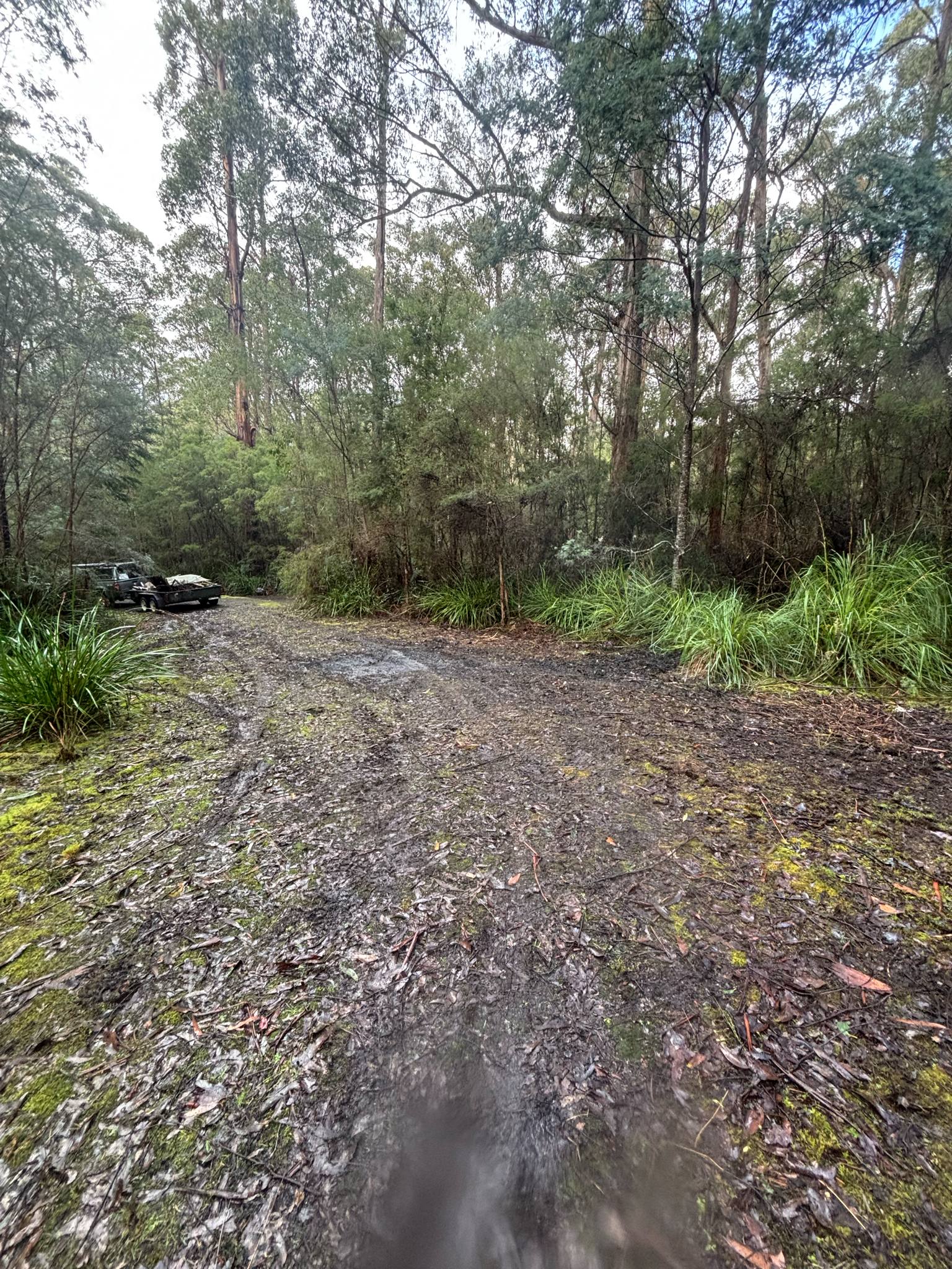 Large area with room for camper trailer.