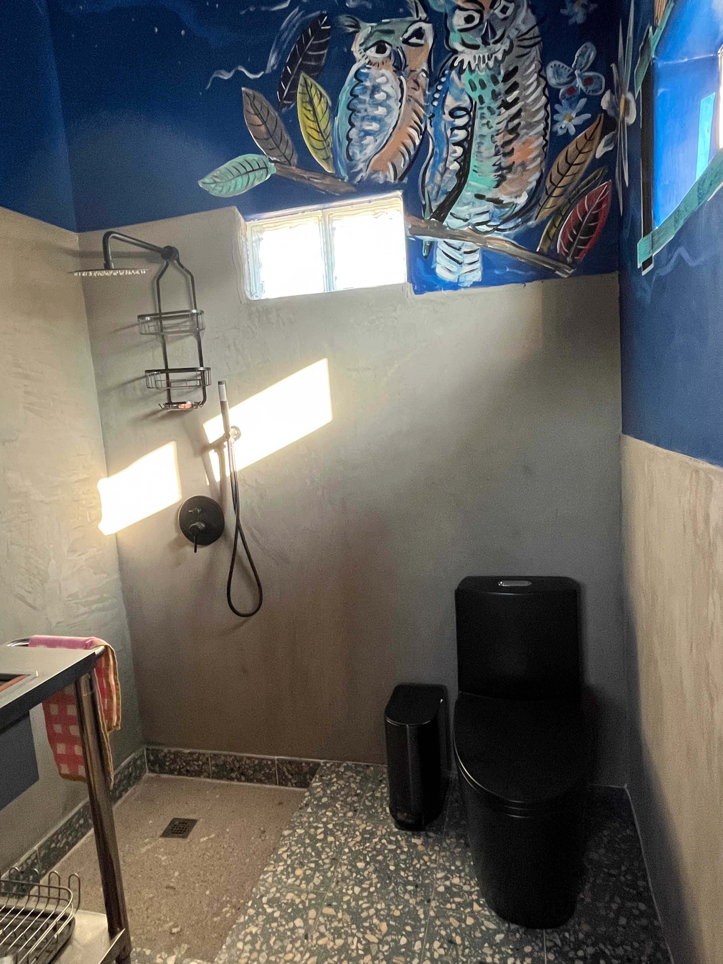 Toilet and shower. Mural by Scooter LaForge