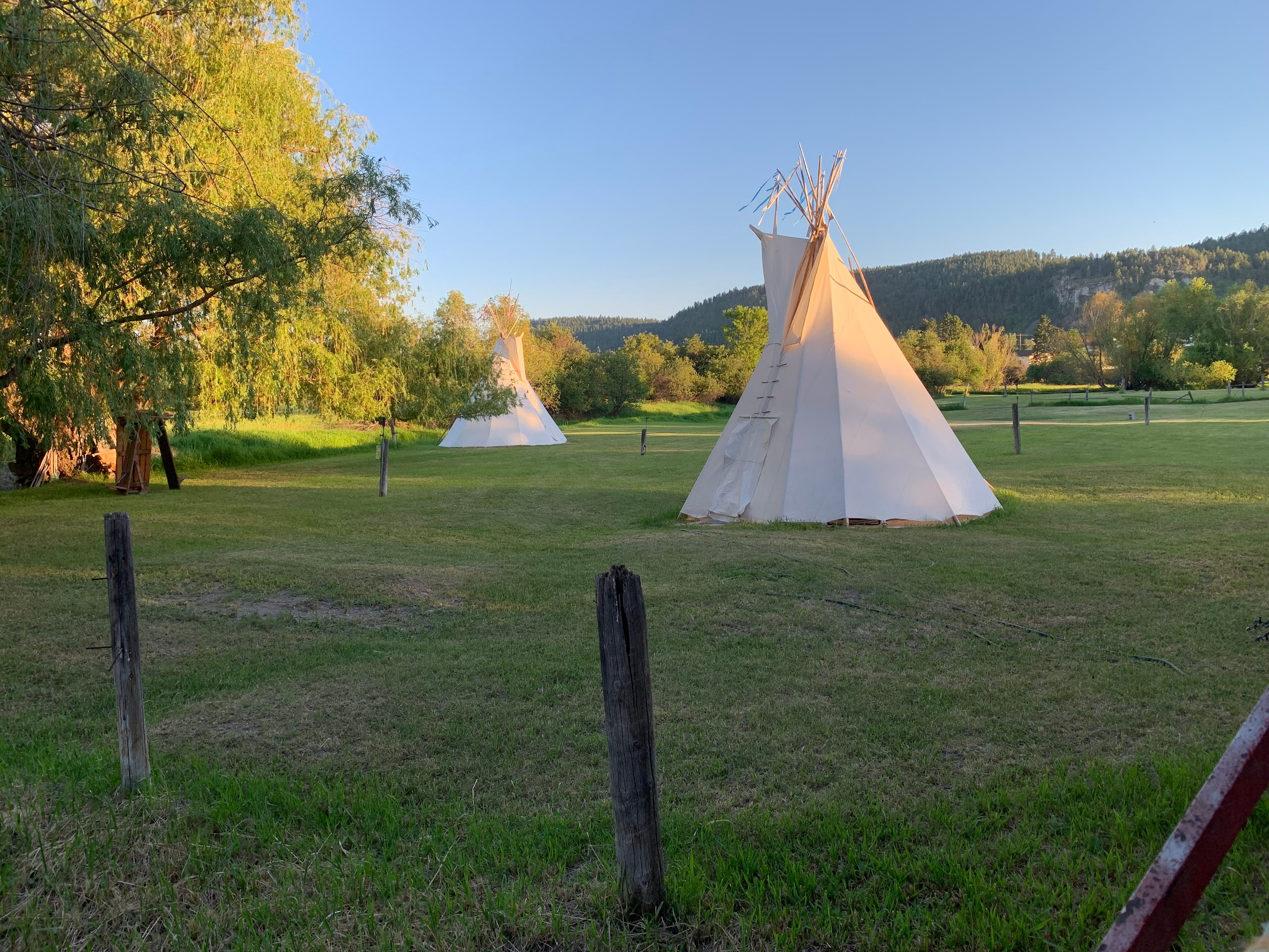 Through a window on the bridge, you'll see Hollyhock tipi in the foreground and Cosmos tipi in the back.