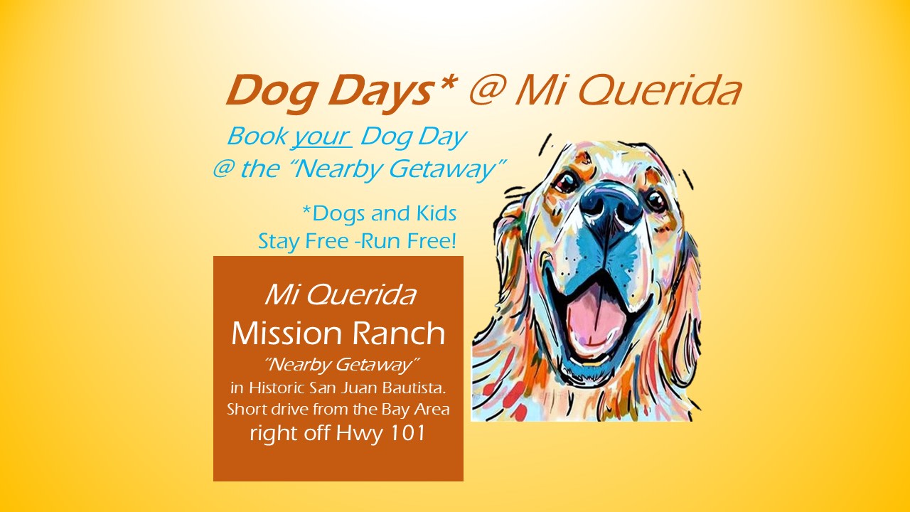 Nearby Getaway - Dogs Welcome!