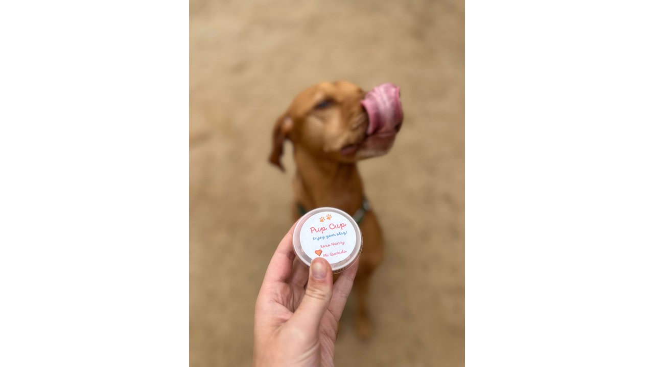 Nearby Getaway - Dogs Welcome!