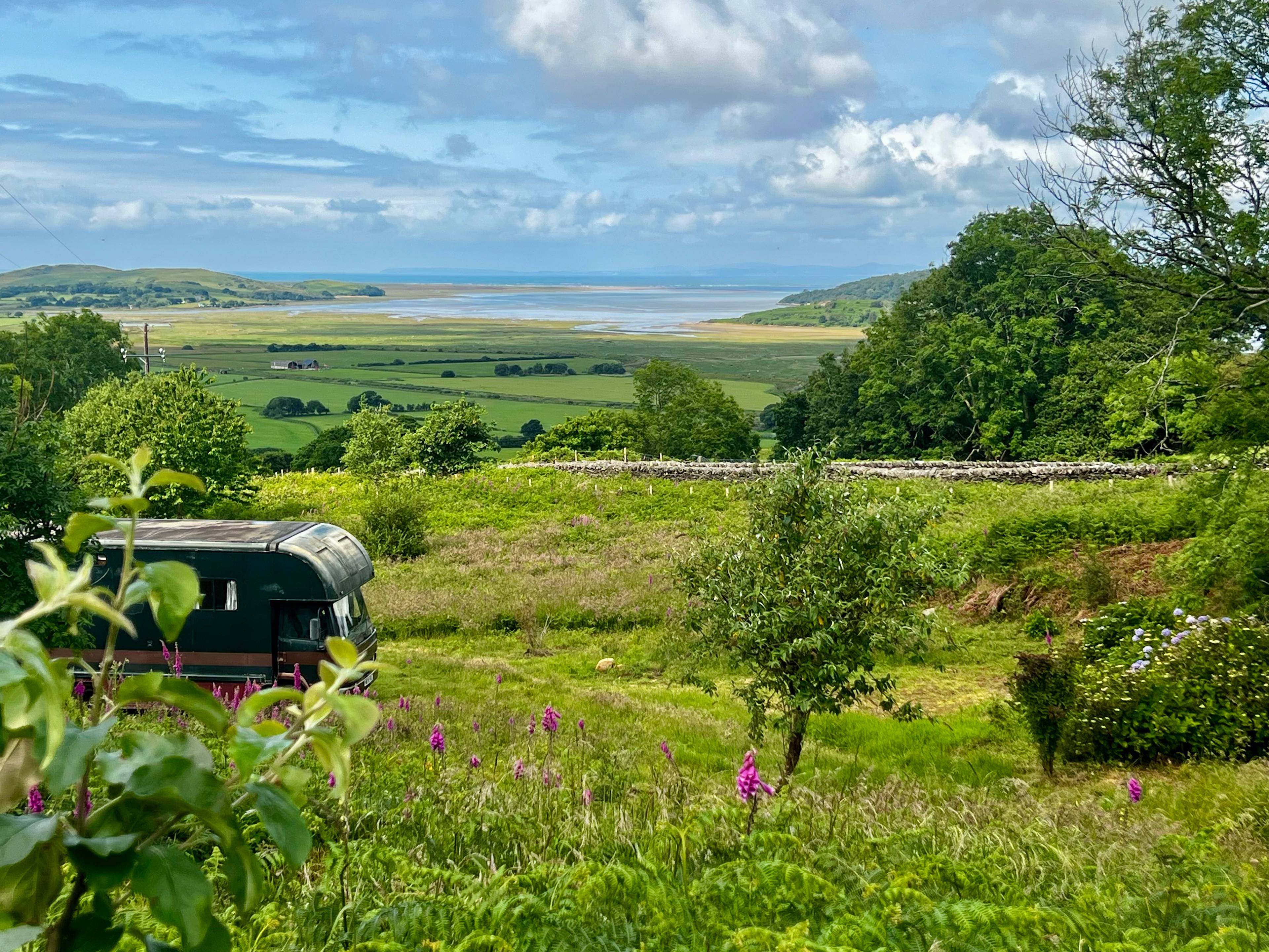 Estuary and Portmeirion views from the site