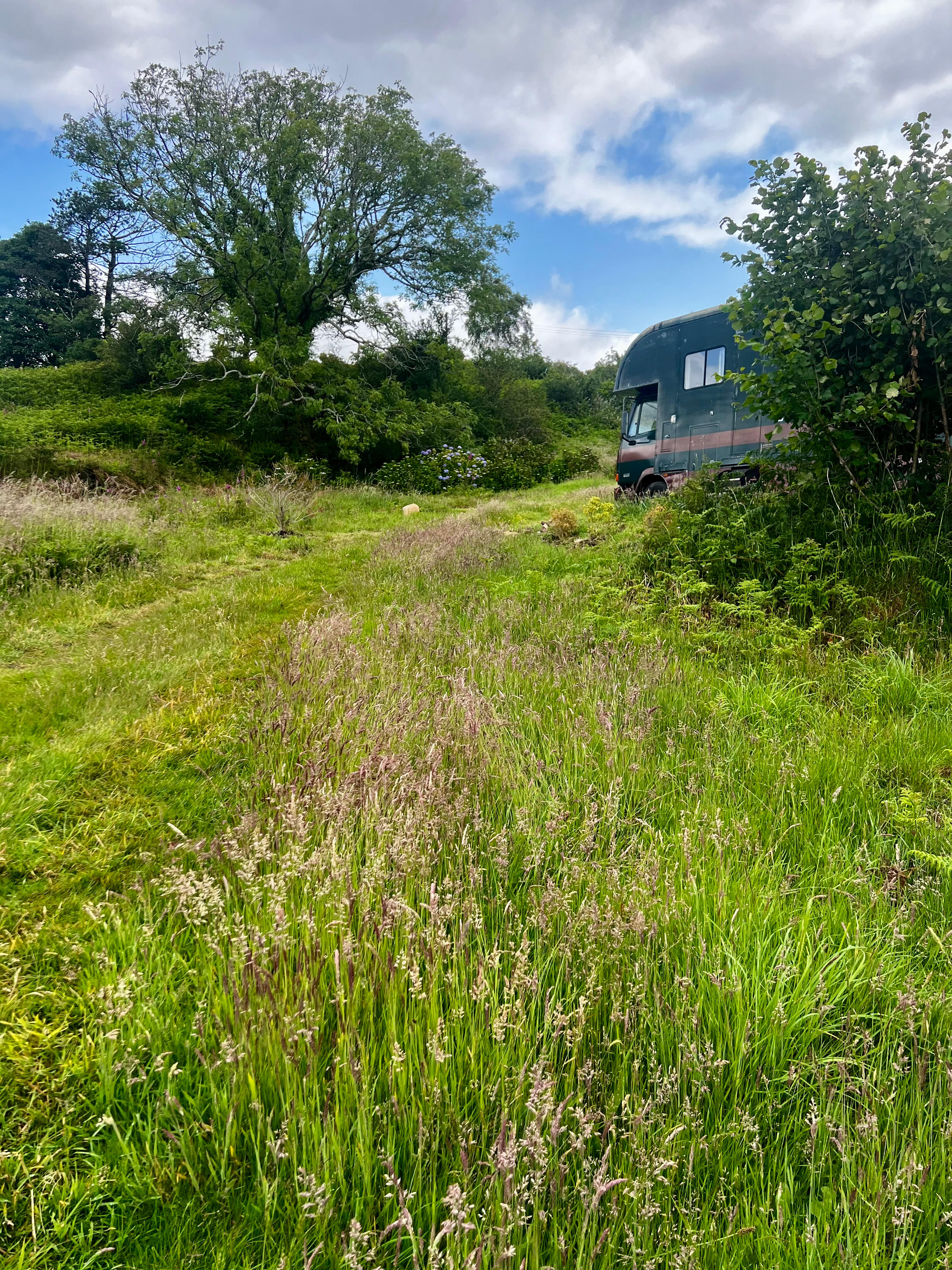 View from parking area towards the horse box