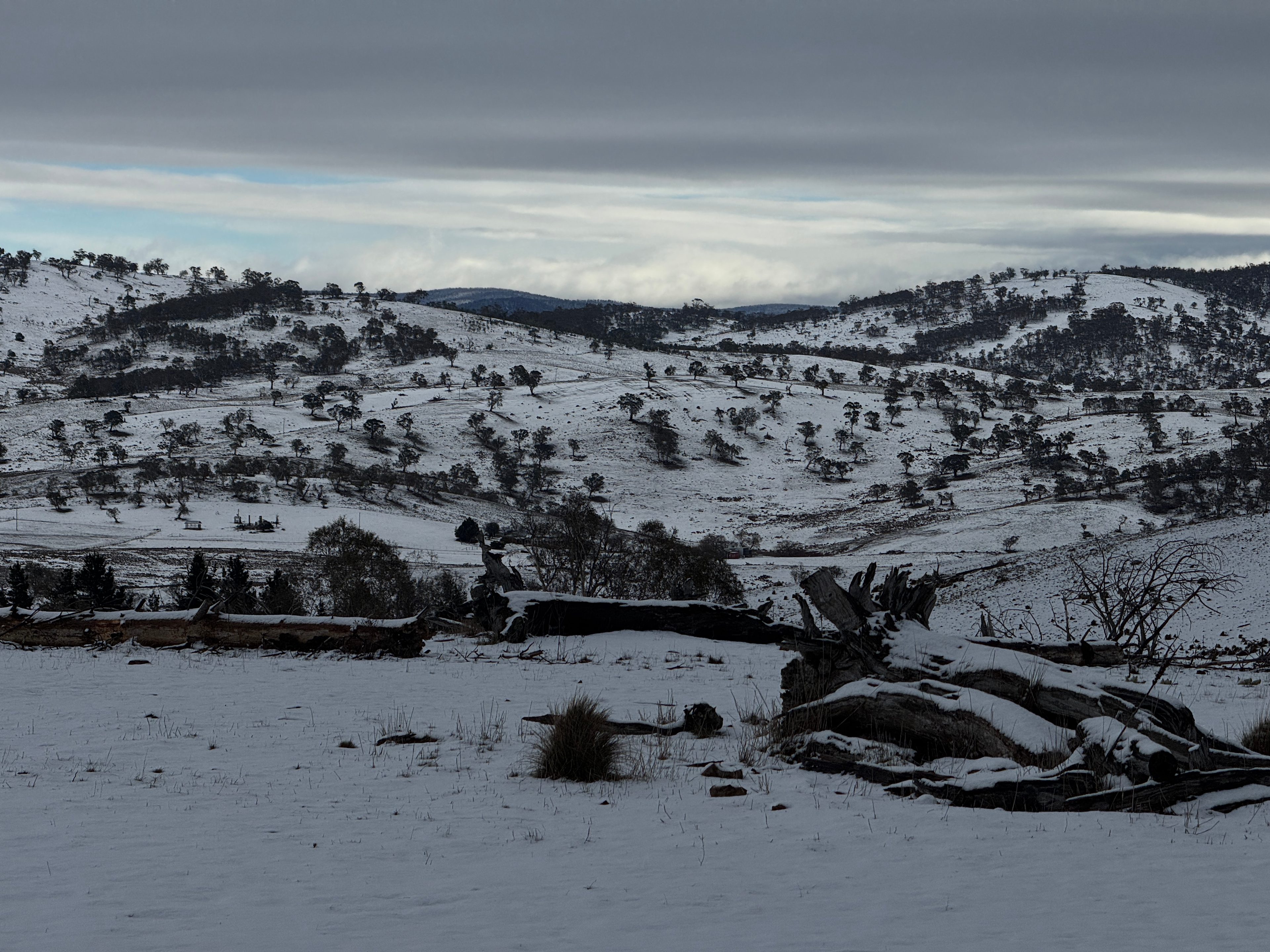 Wombat Pines - Glamping and Camping