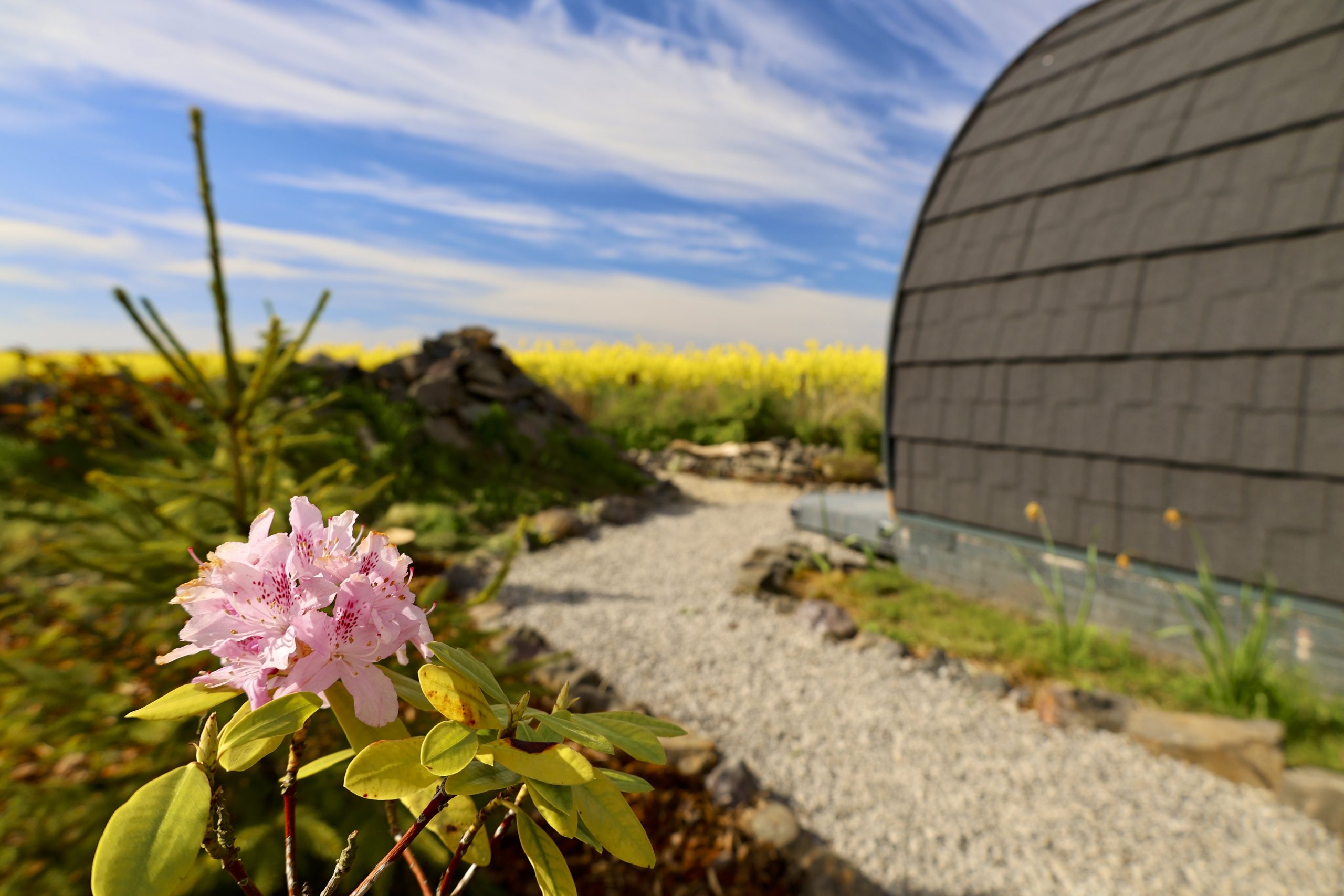 Fernlea - Campsite & Pod