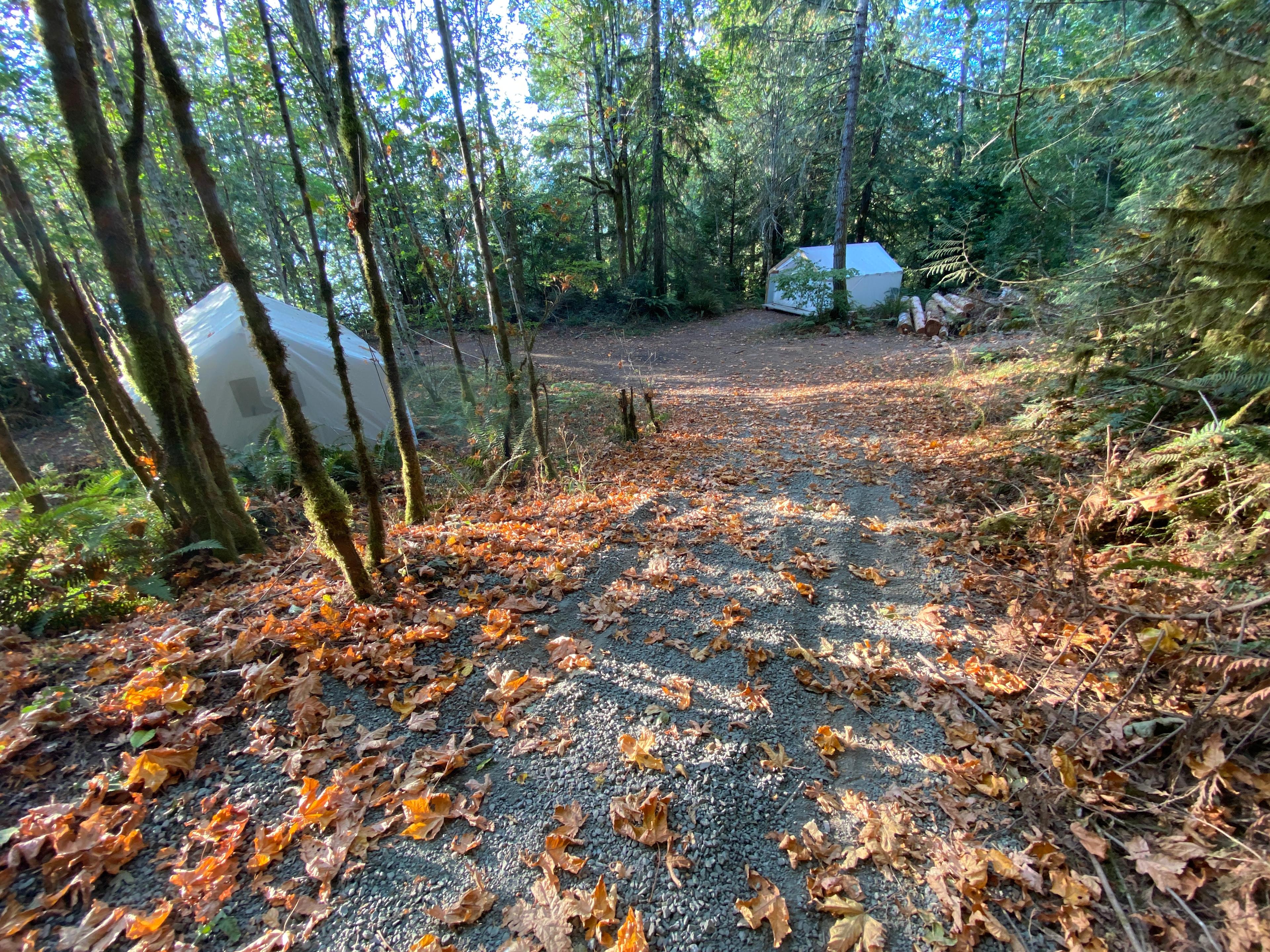 Glamping tents offer space and privacy