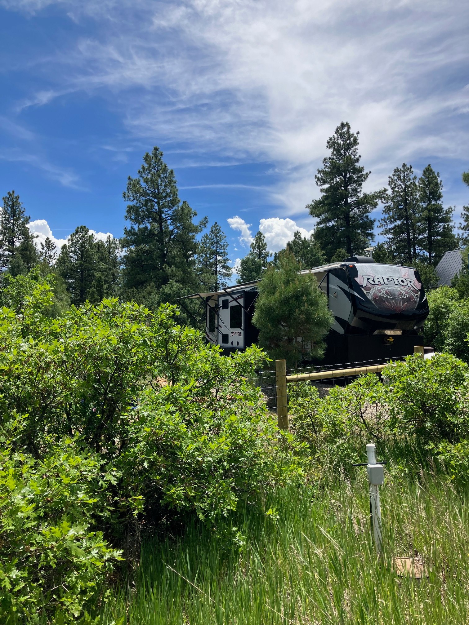 Summit Forest Camping at 7450' !