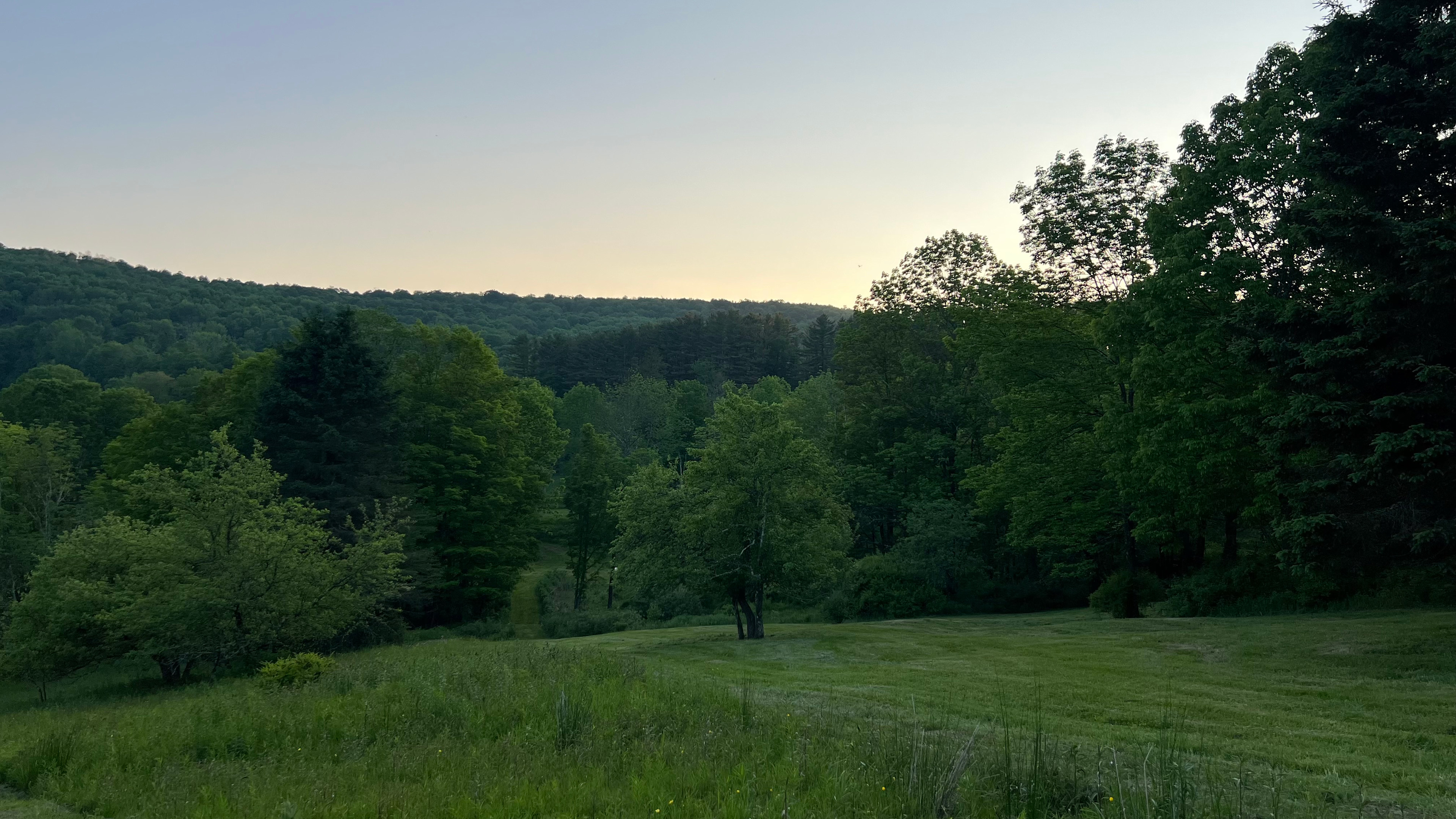 View to the west with sunset. 