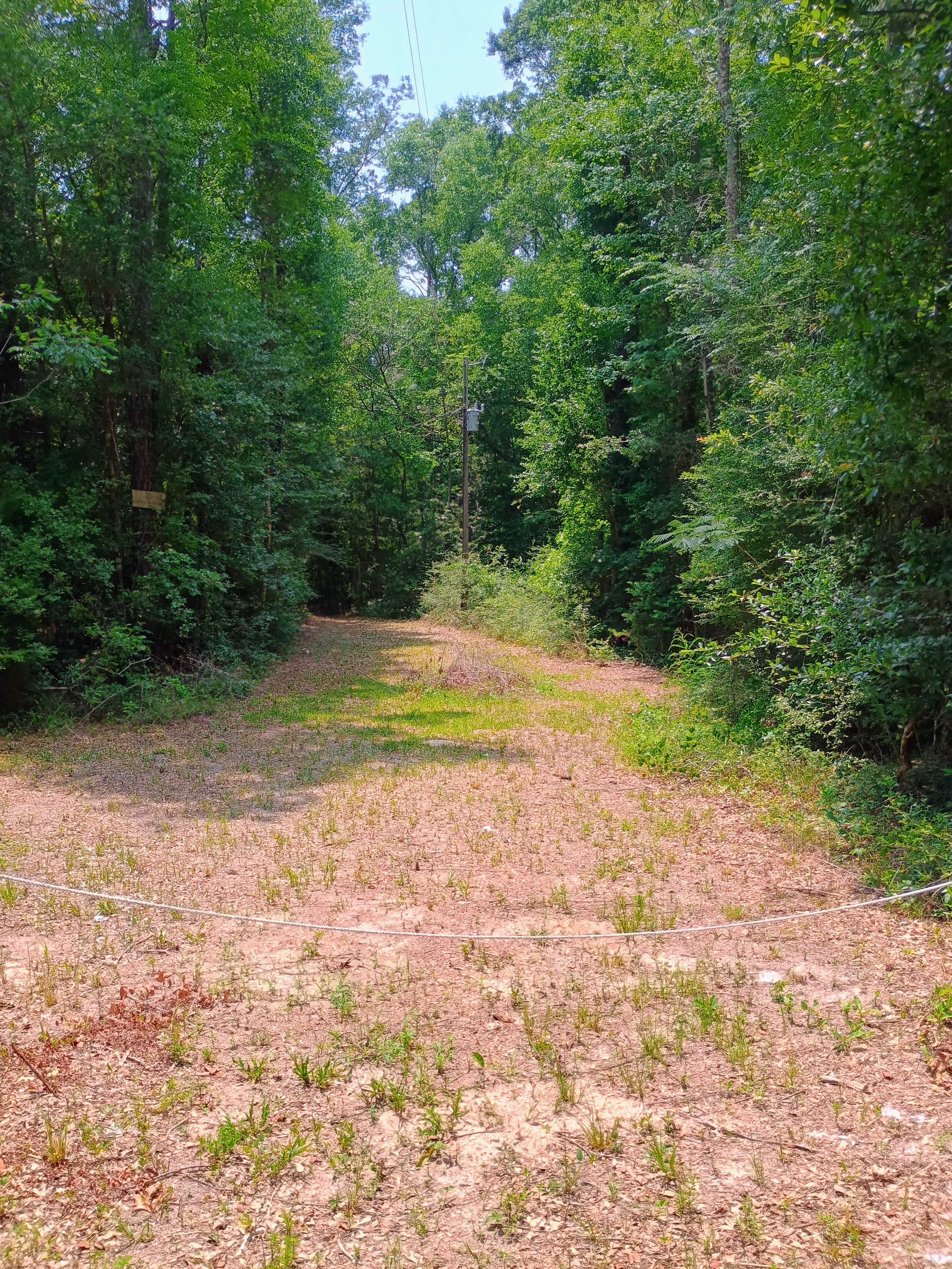 Pond side Fish Camp