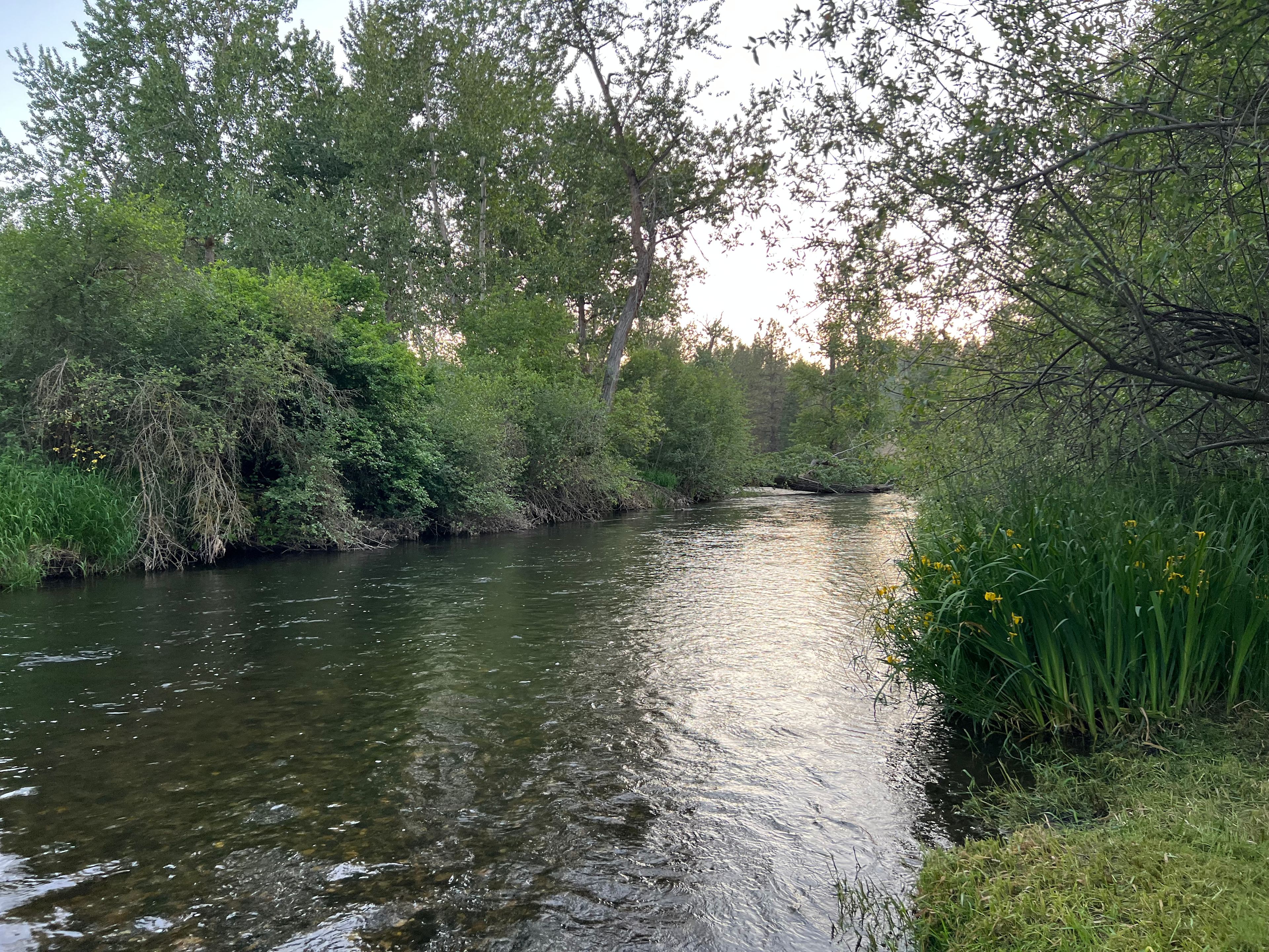 Little Spokane Riverside Retreat