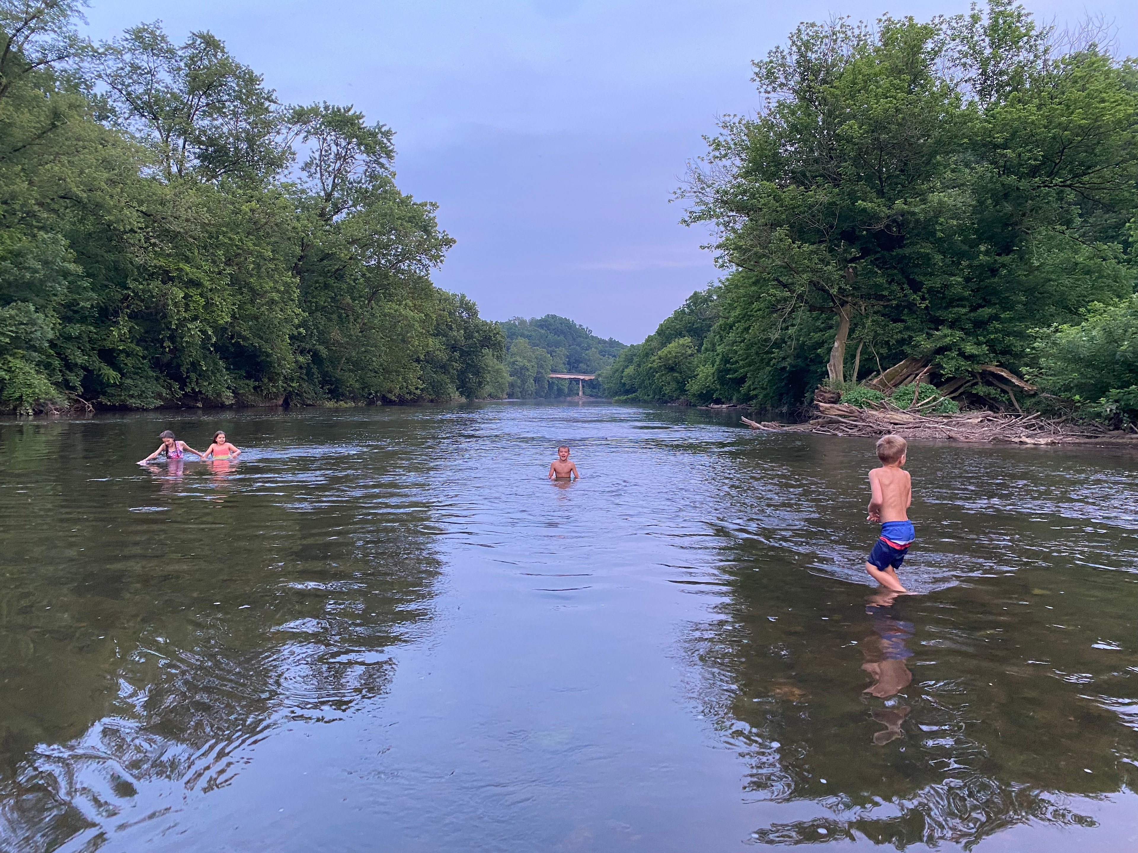 Wooded River View