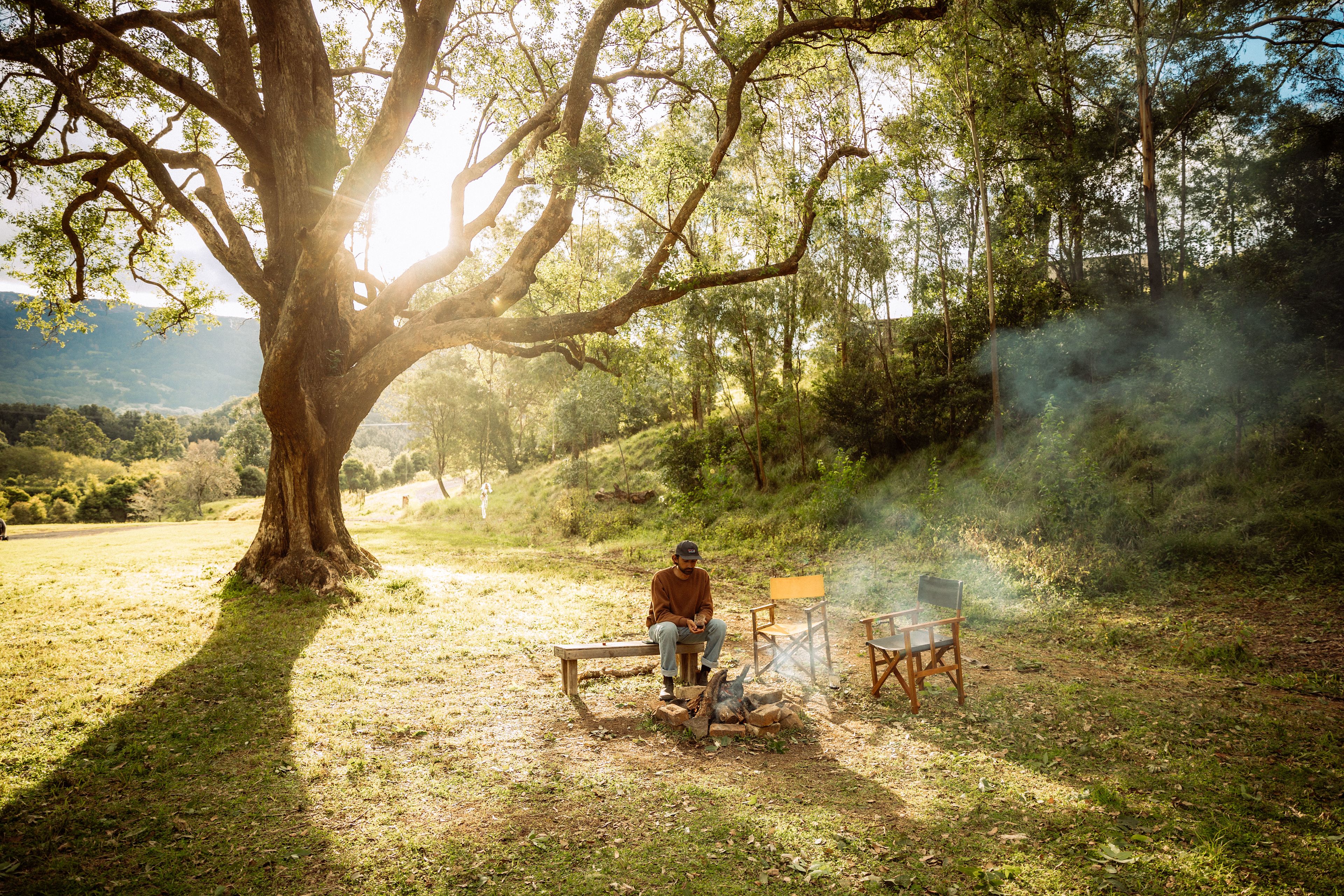 Glamping Around An Ancient Tree