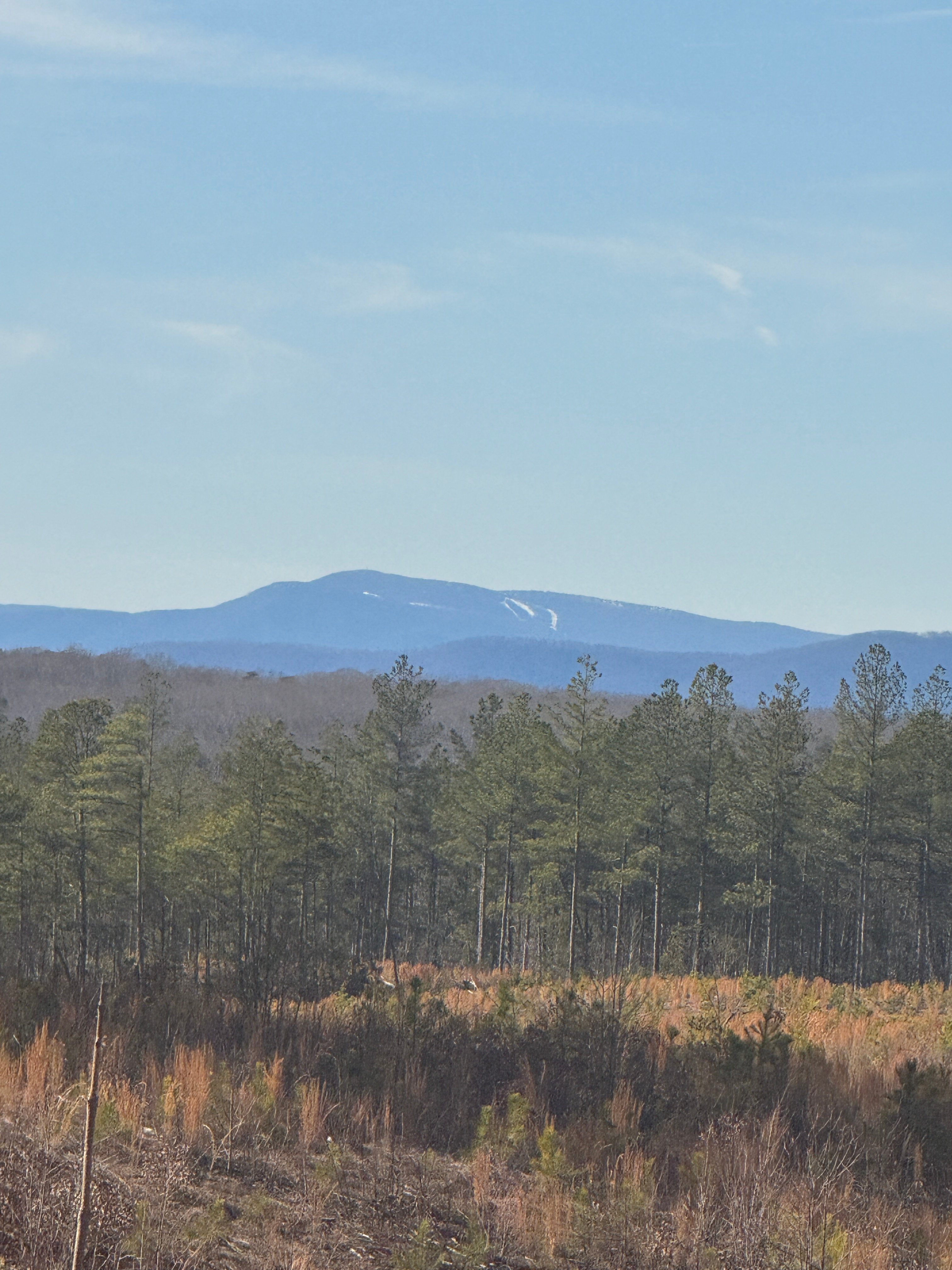 view of Wintergreen from the landing at the top of the property 
